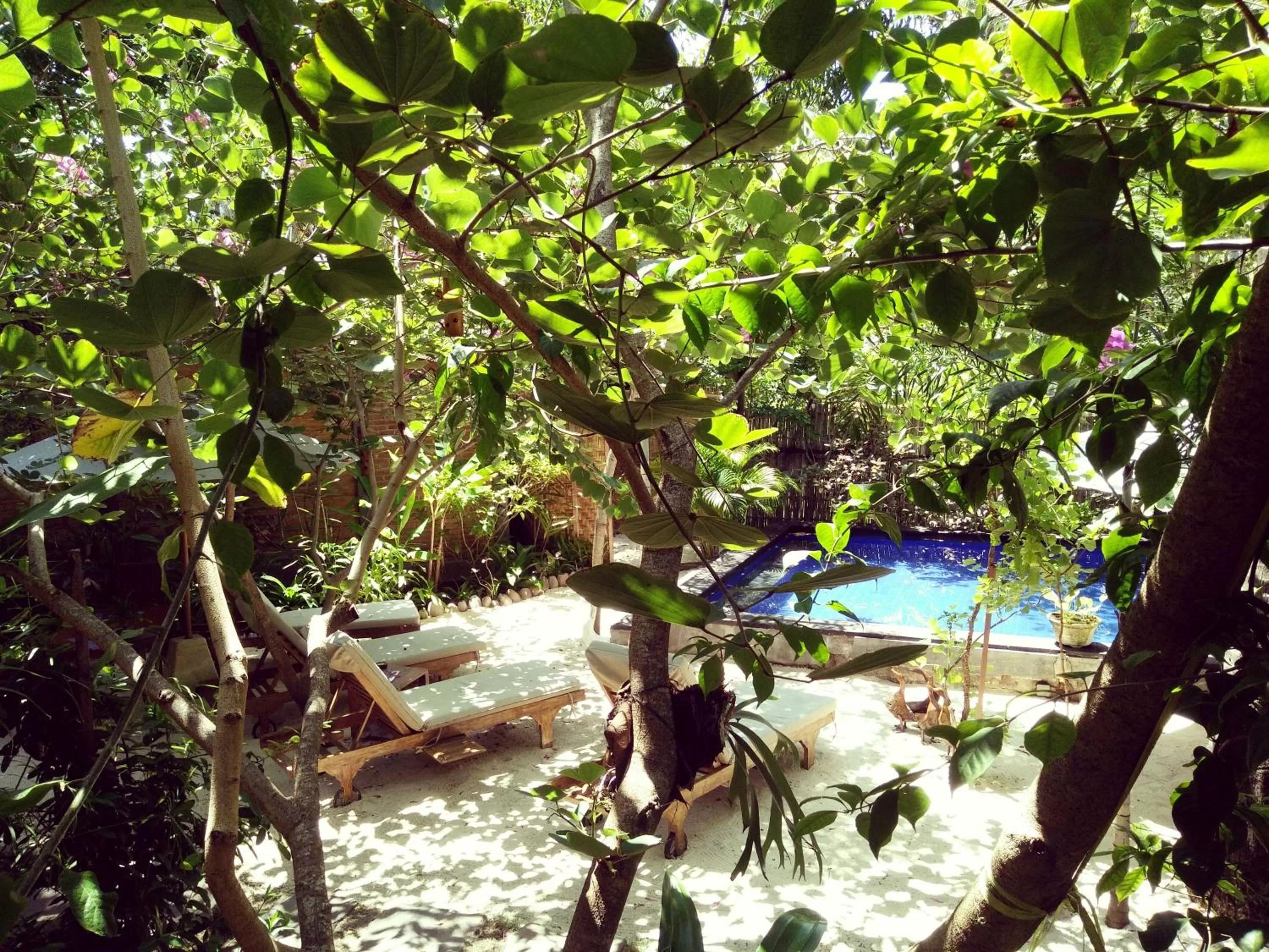 Pool view in Villas Light House - Eco-Traditional Joglo