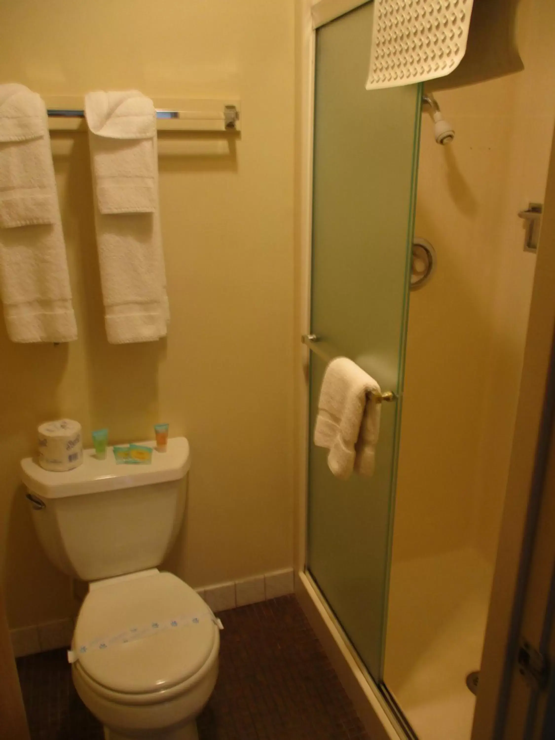 Shower, Bathroom in Cocusa Motel