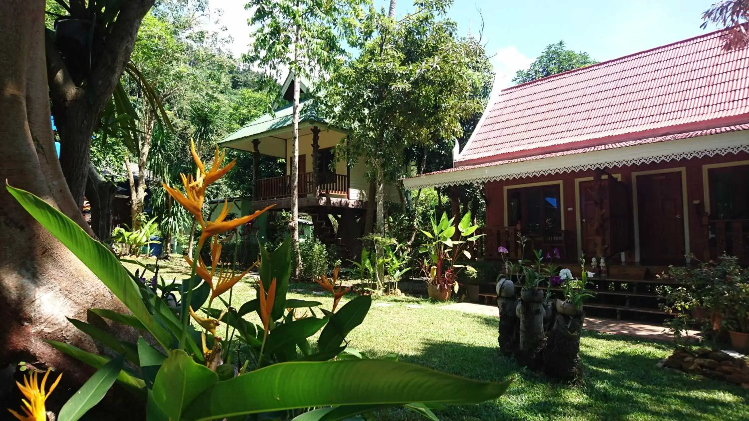 Garden in Macura Resort