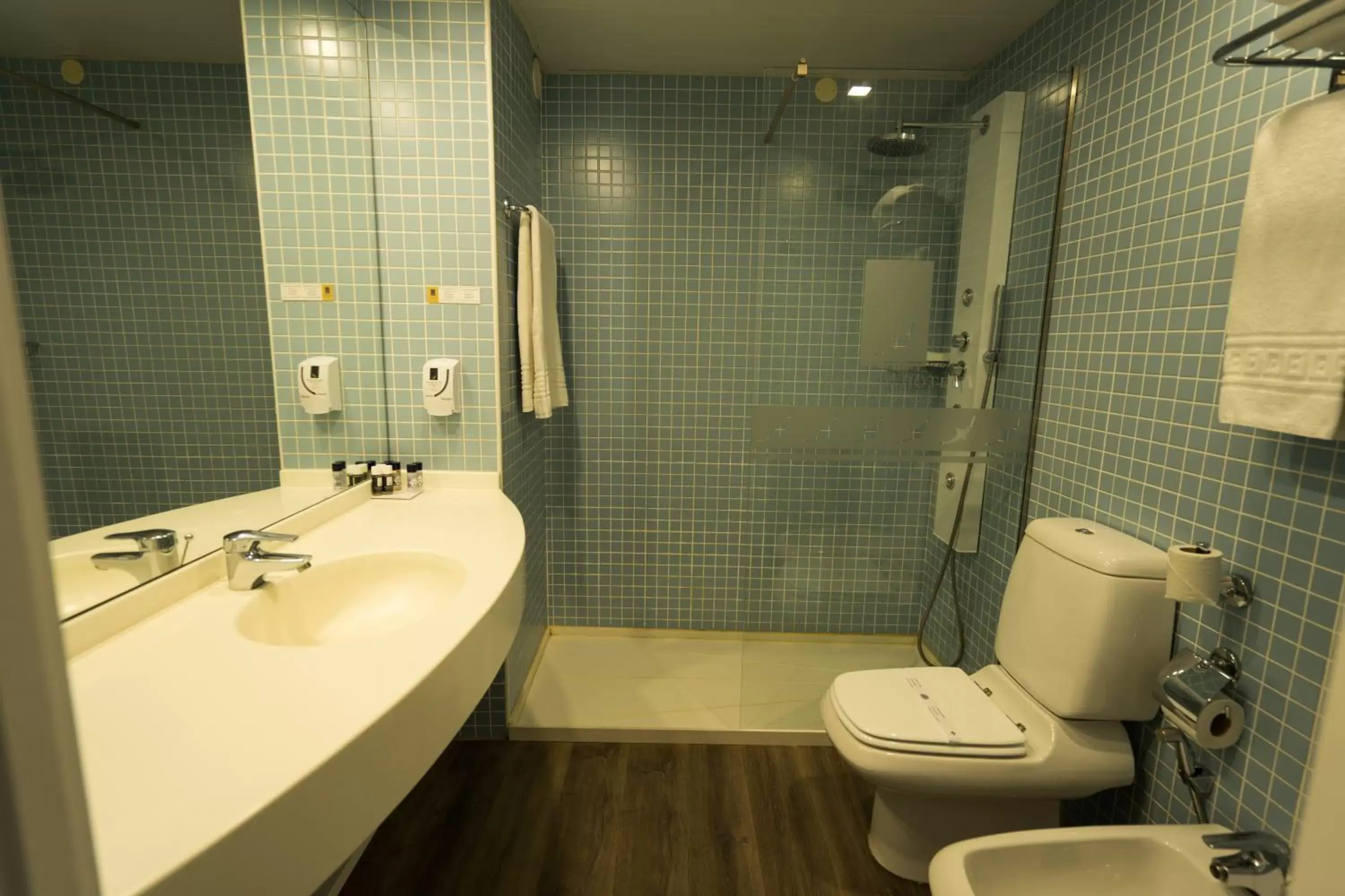 Toilet, Bathroom in Grande Hotel da Povoa