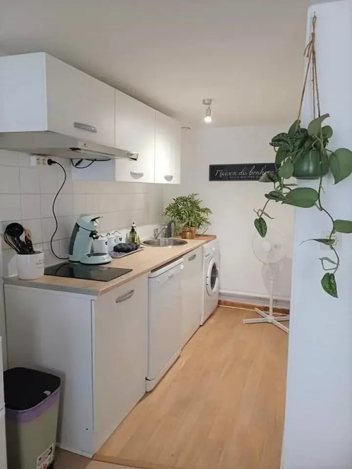 Kitchen/Kitchenette in Duplex à la gare du Mans