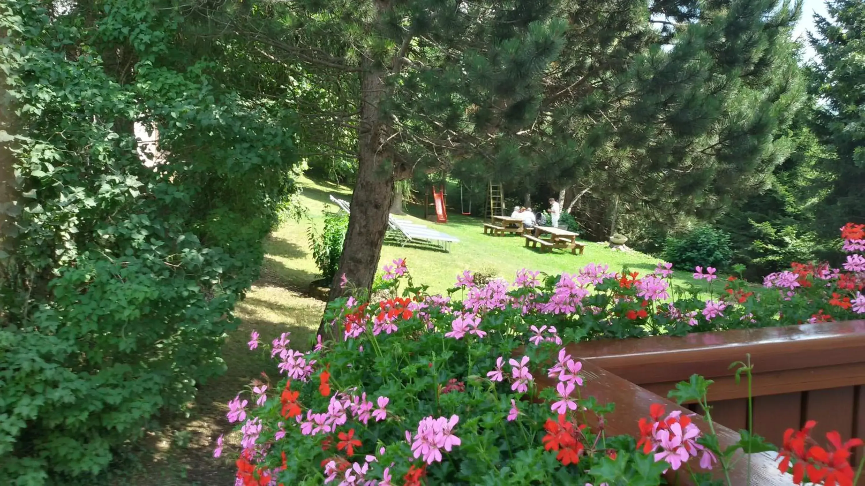 Garden in Hotel Trentino