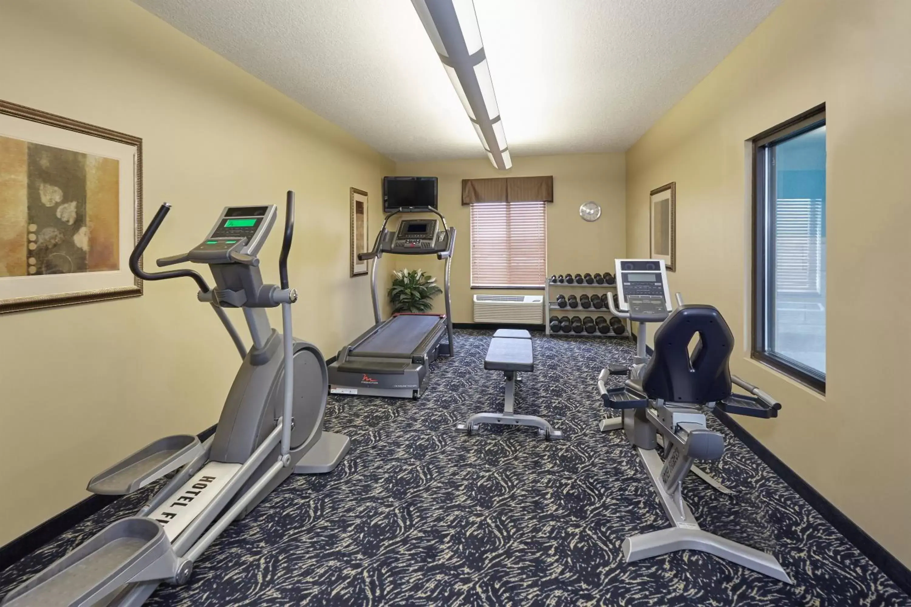 Spa and wellness centre/facilities, Fitness Center/Facilities in Holiday Inn Express Pekin - Peoria Area, an IHG Hotel