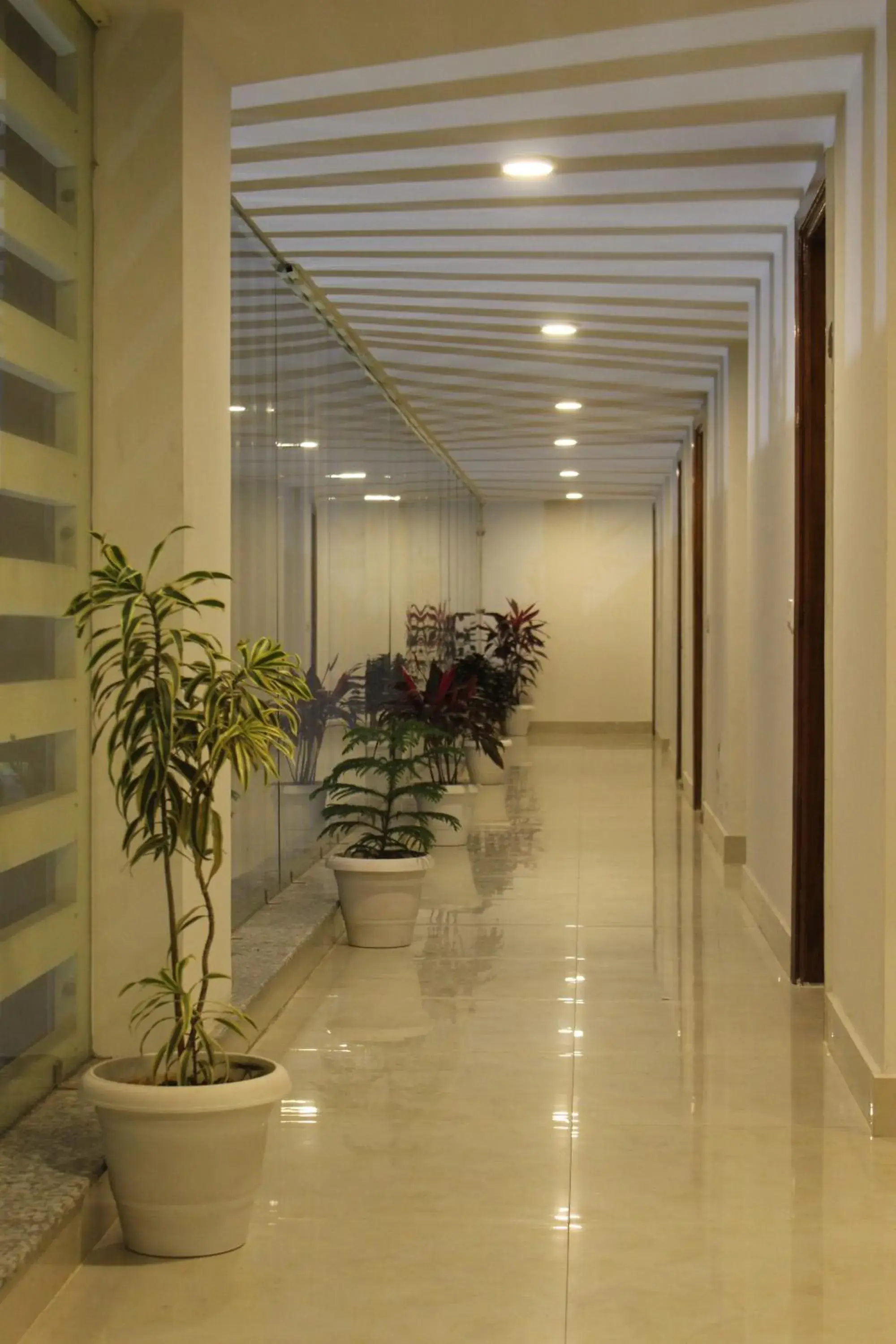 Balcony/Terrace, Lobby/Reception in Hotel Rama Trident