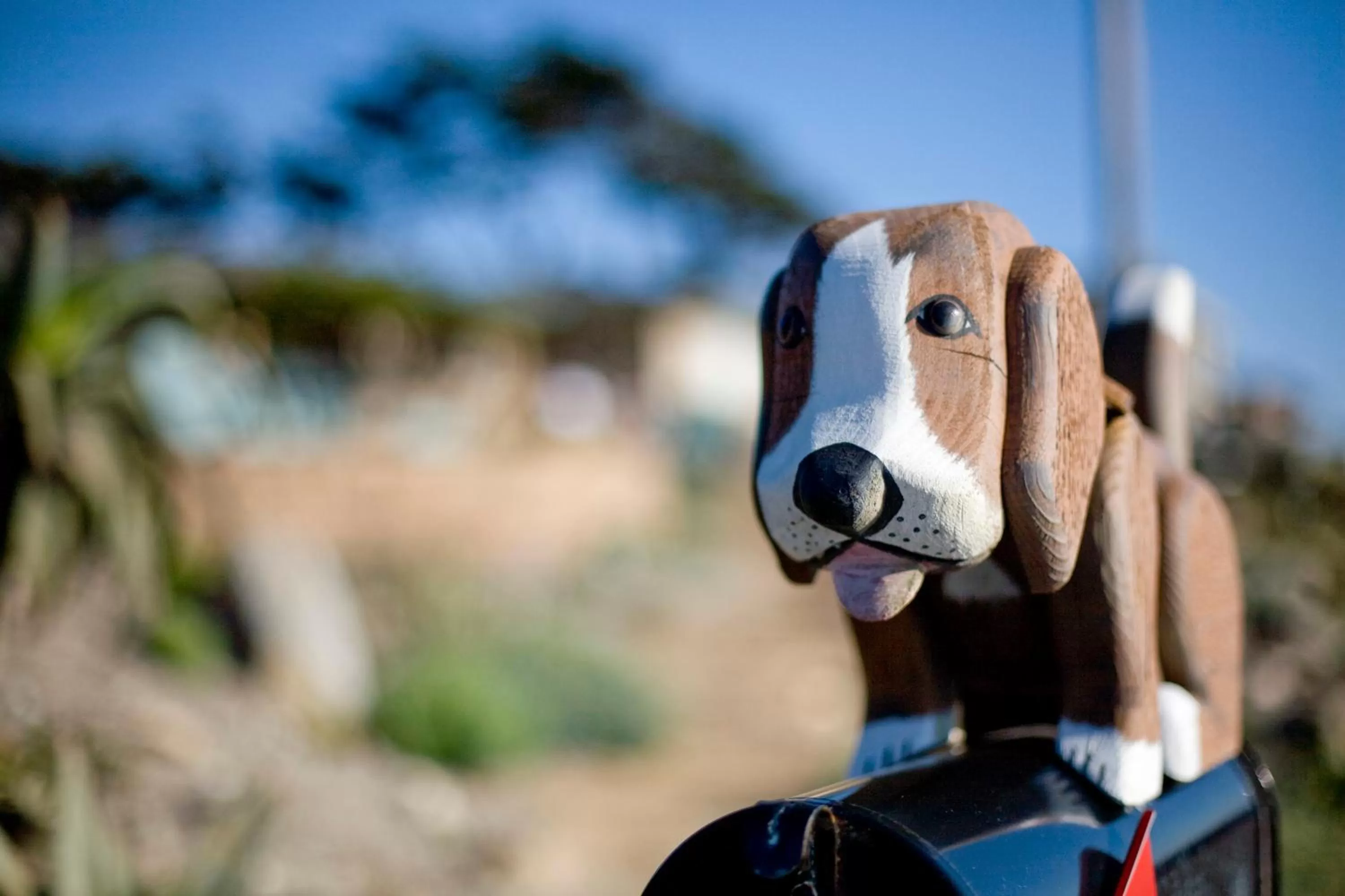 View (from property/room) in Cambria Shores Inn