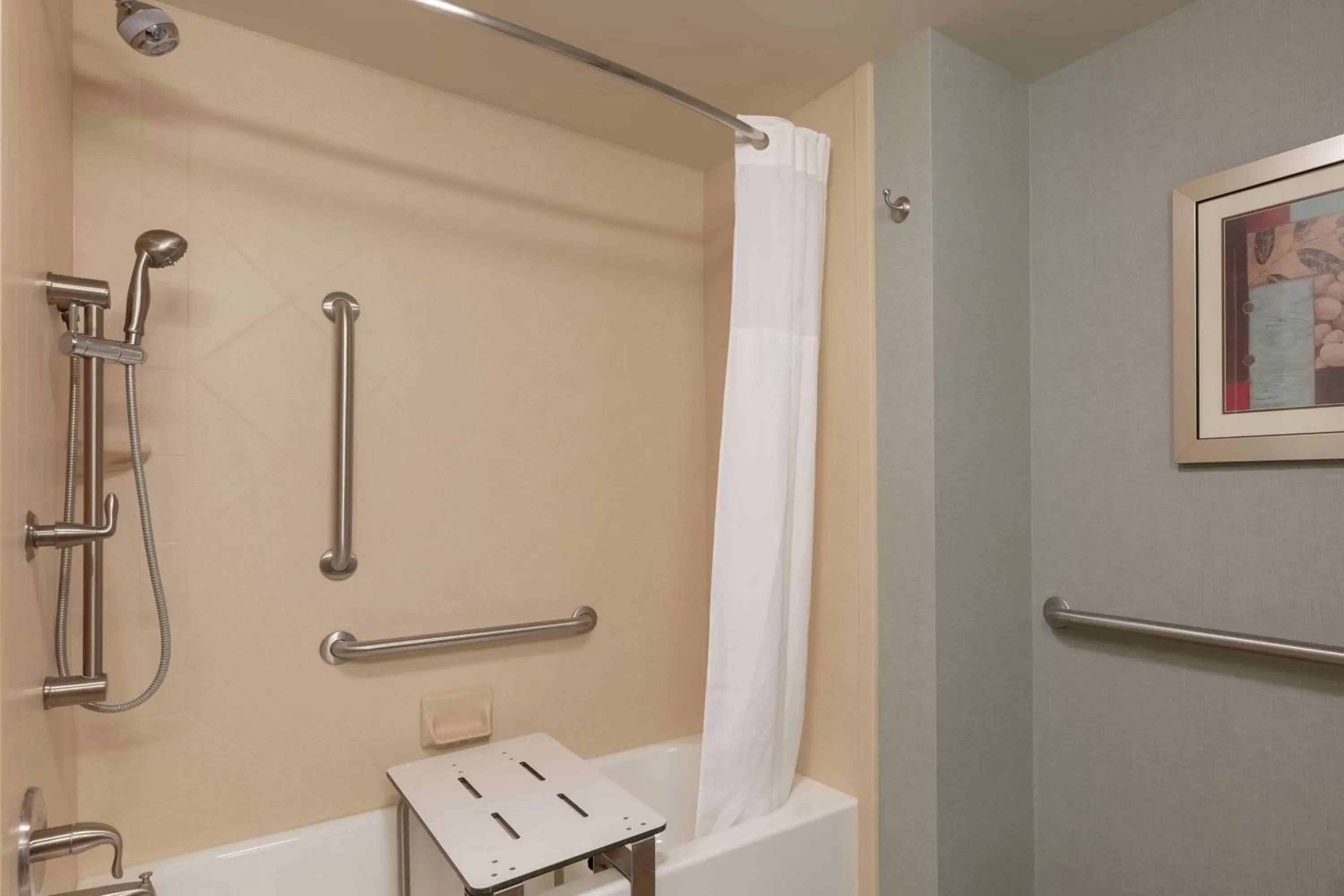 Bathroom in Hampton Inn and Suites Adairsville/Calhoun Area