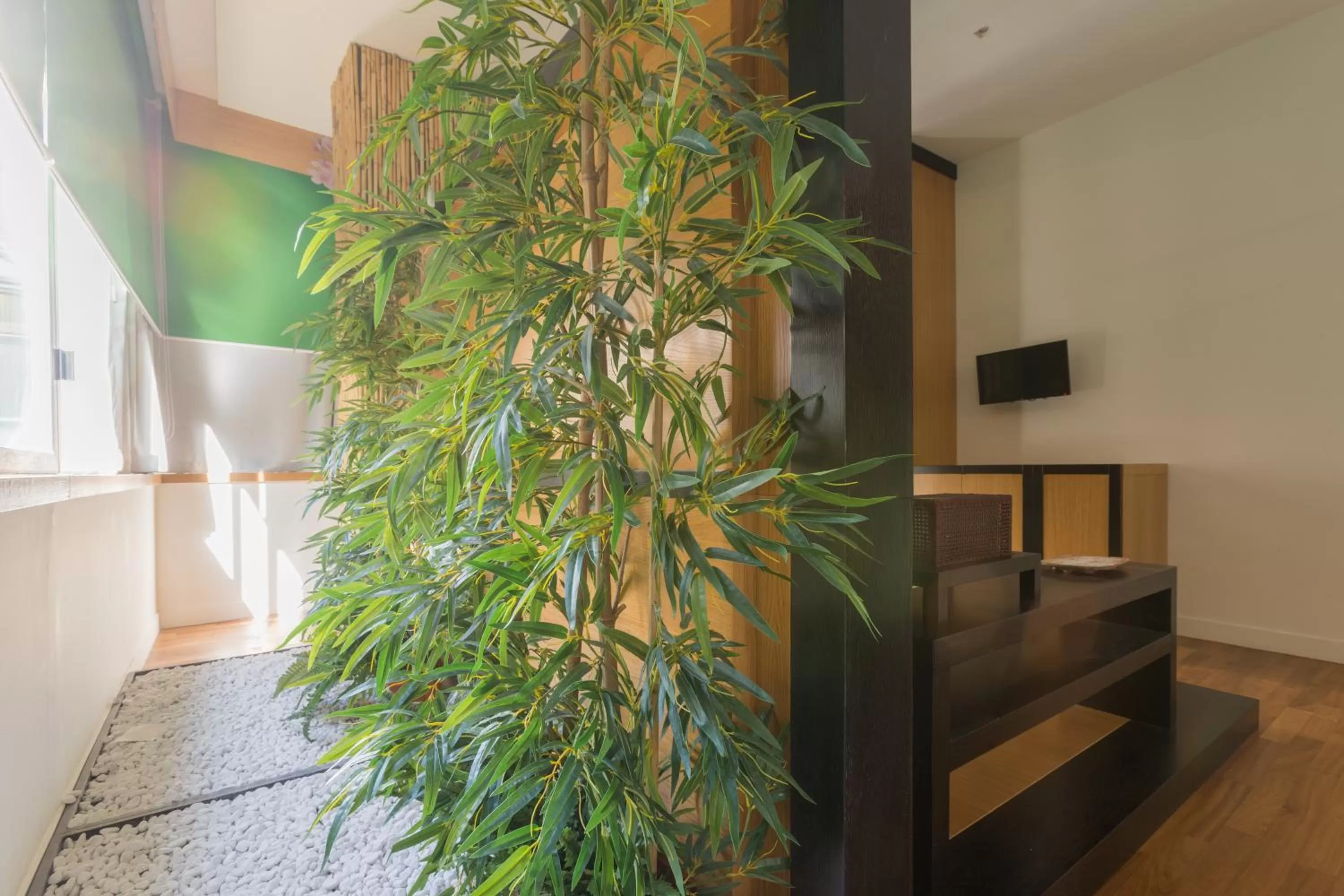 Garden view in Soul City