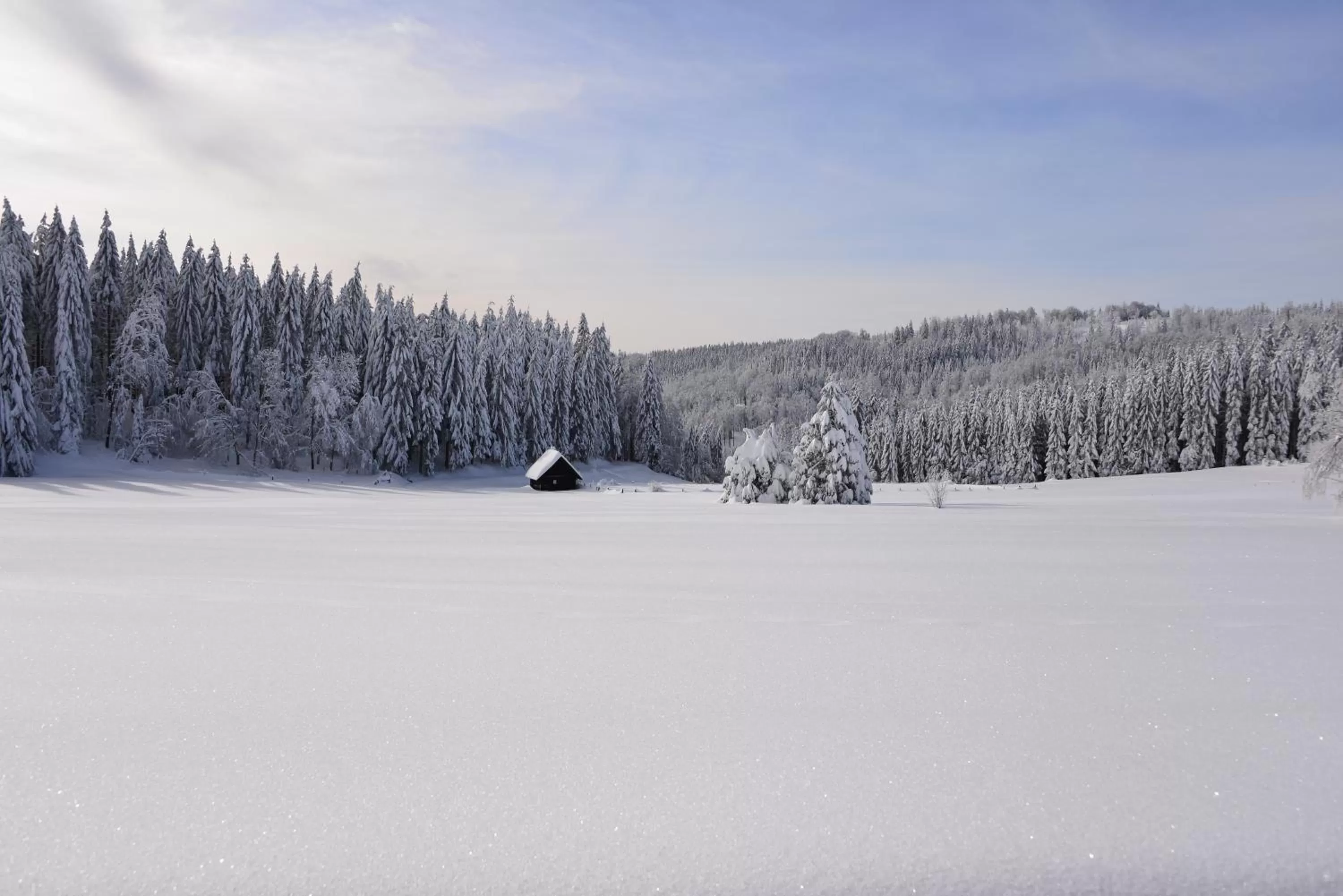 Natural landscape in RelaxHotel Tannenhof