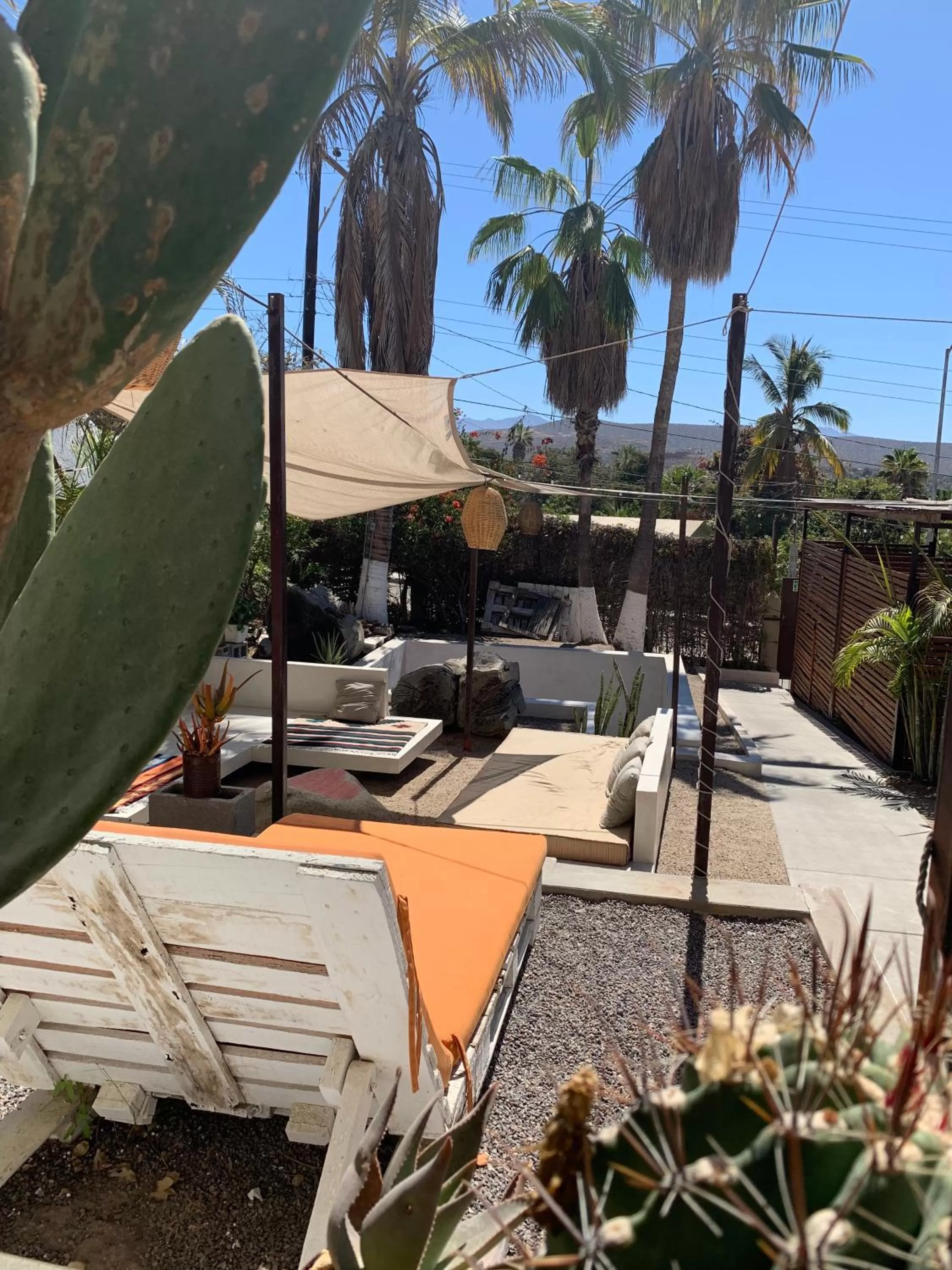 sunbed in Perro Surfero Hotel