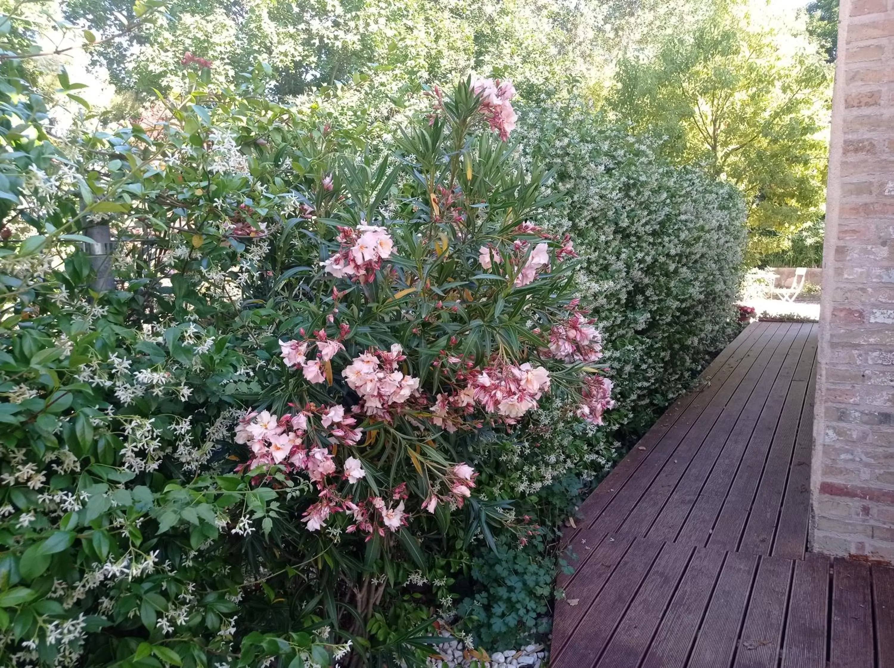 Garden in La Casa di Tara B&B Armonia e Natura