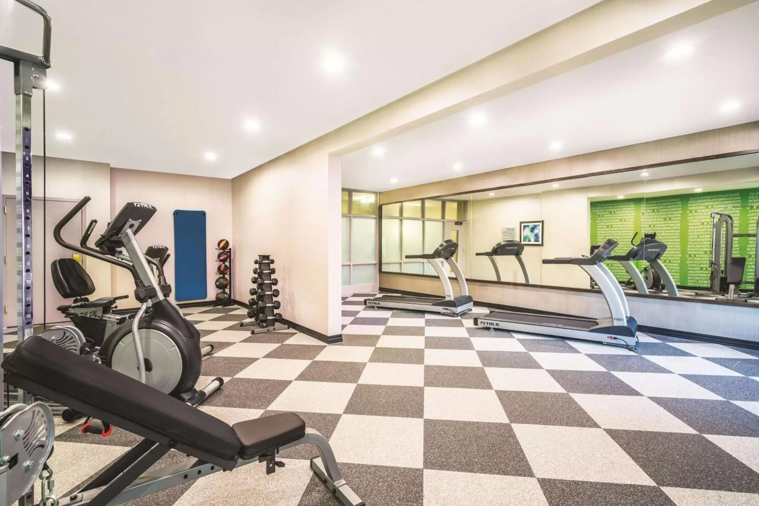 Fitness centre/facilities, Fitness Center/Facilities in La Quinta by Wyndham Loudon