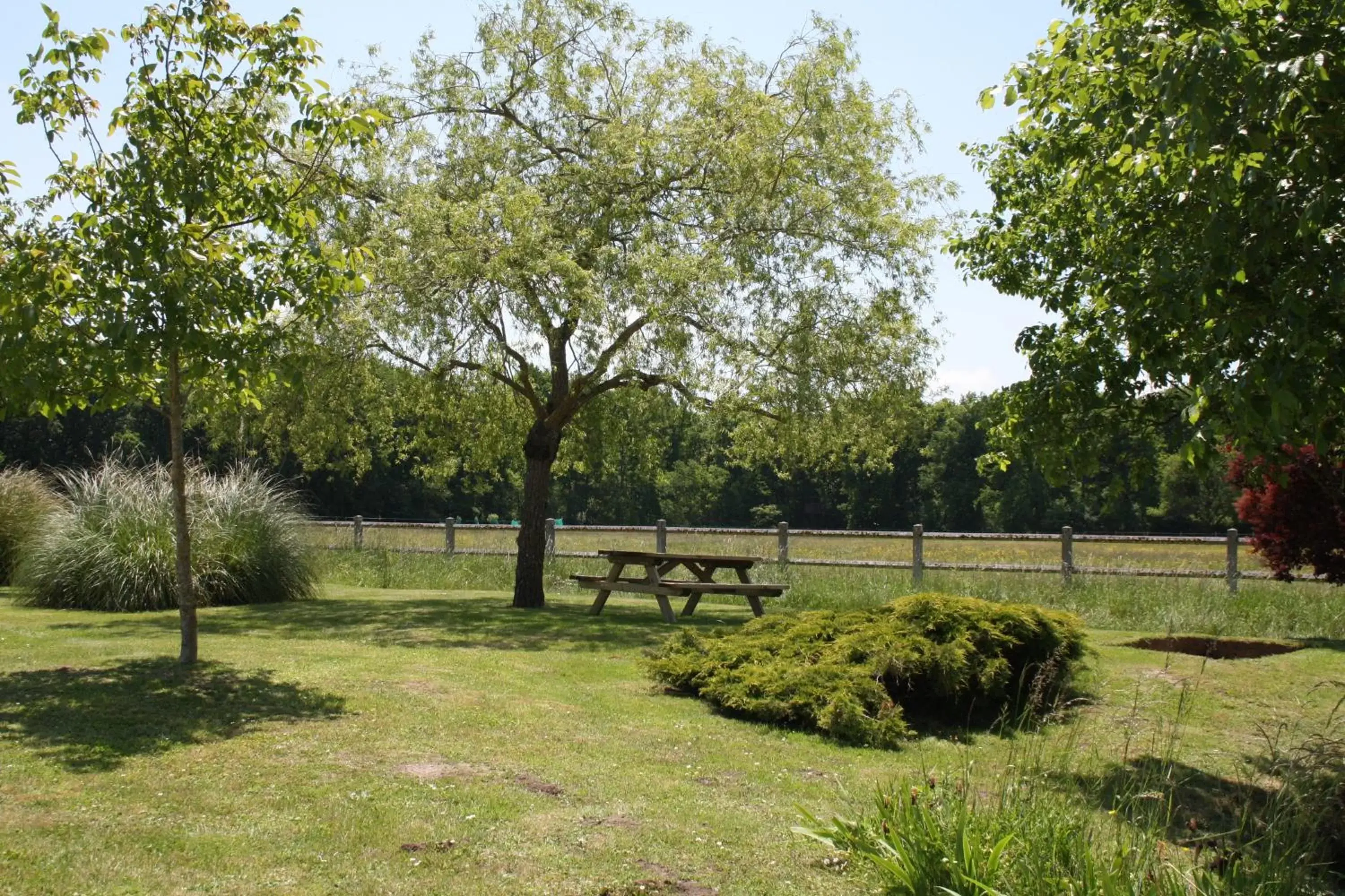 Garden in Chambres et Table d'Hôtes Les Machetières