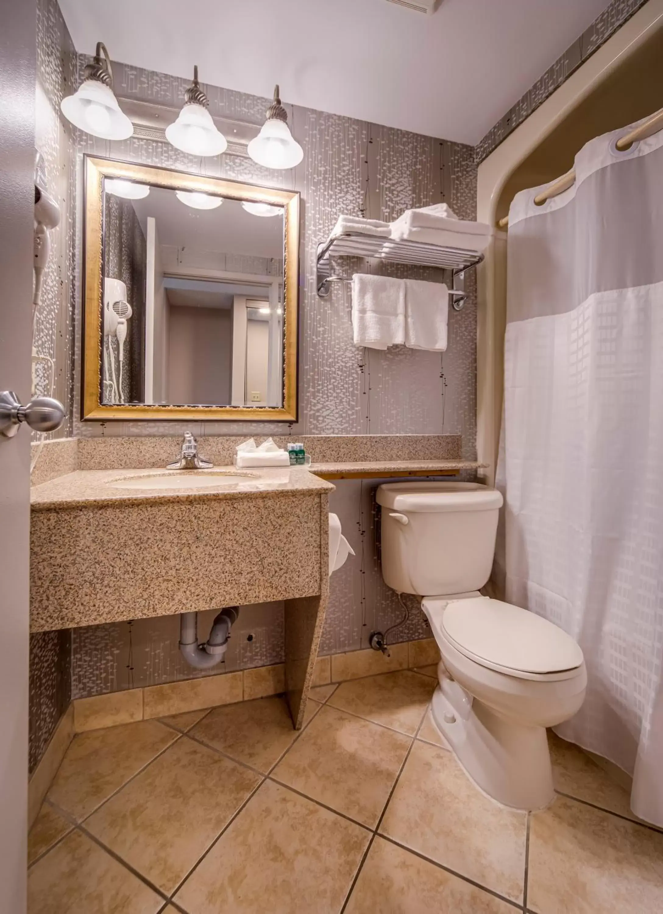 Toilet, Bathroom in Monte Carlo Inn Vaughan Suites