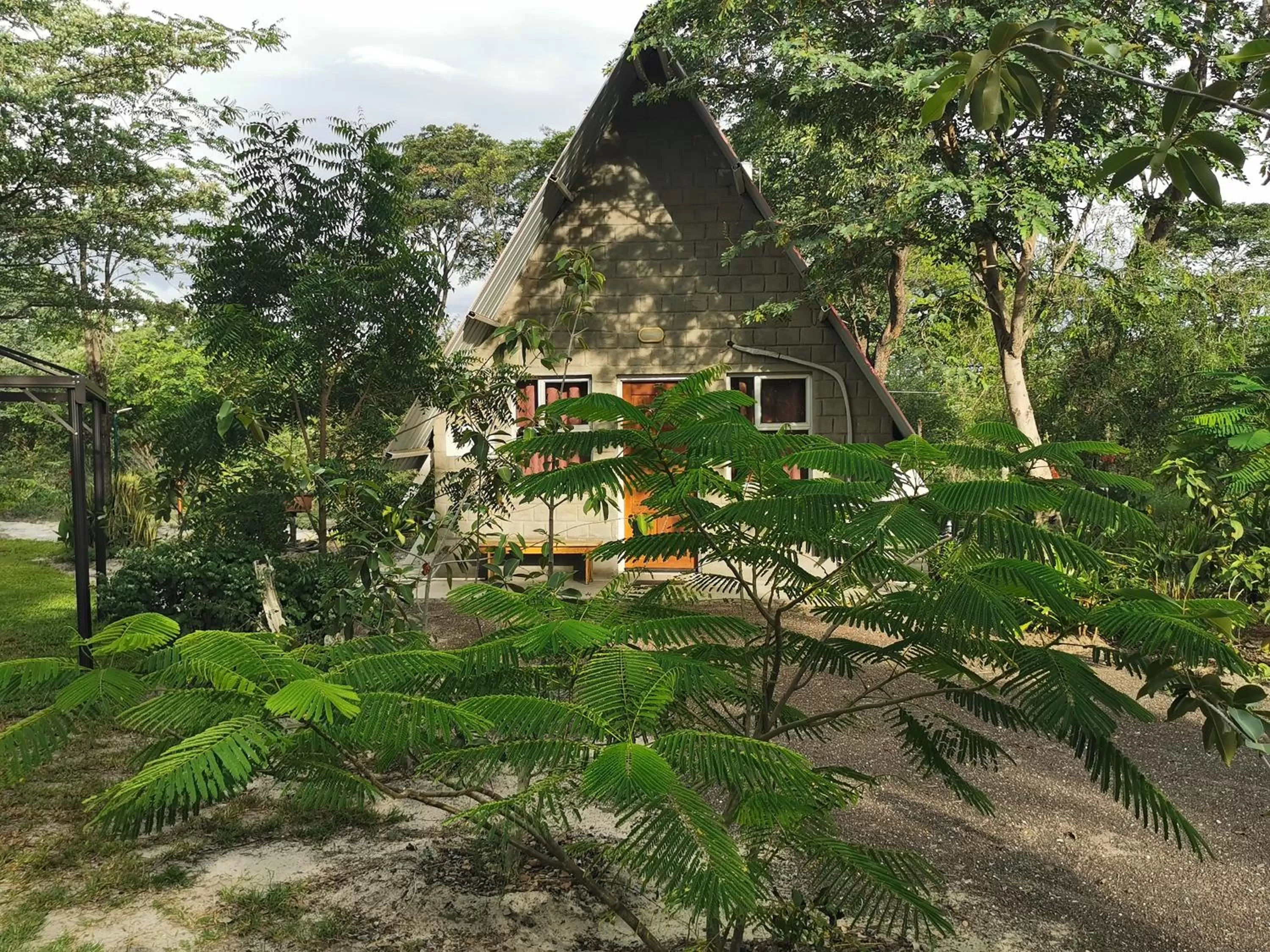 Property Building in Happy Forest B&B