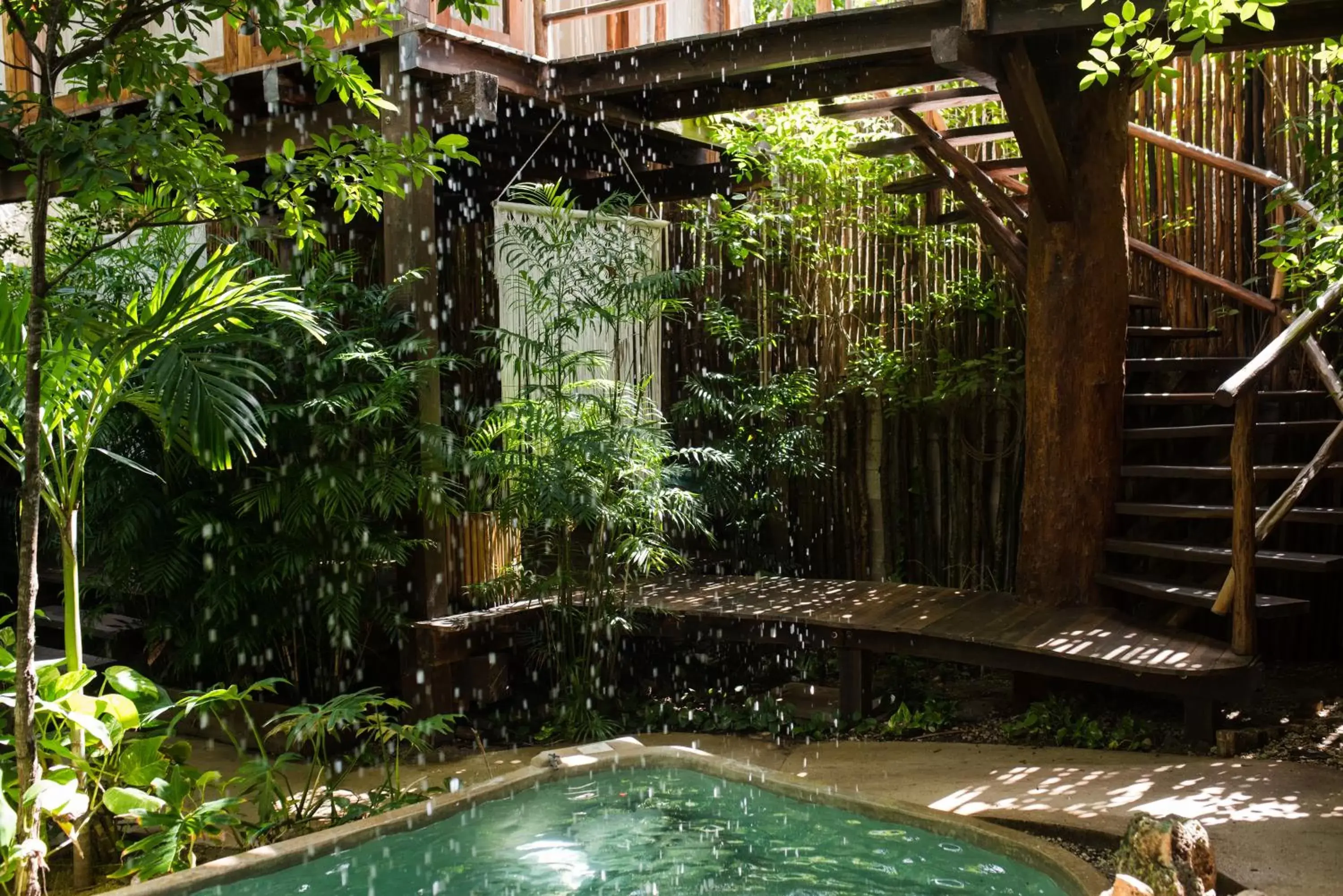 Swimming Pool in Orchid House Tulum