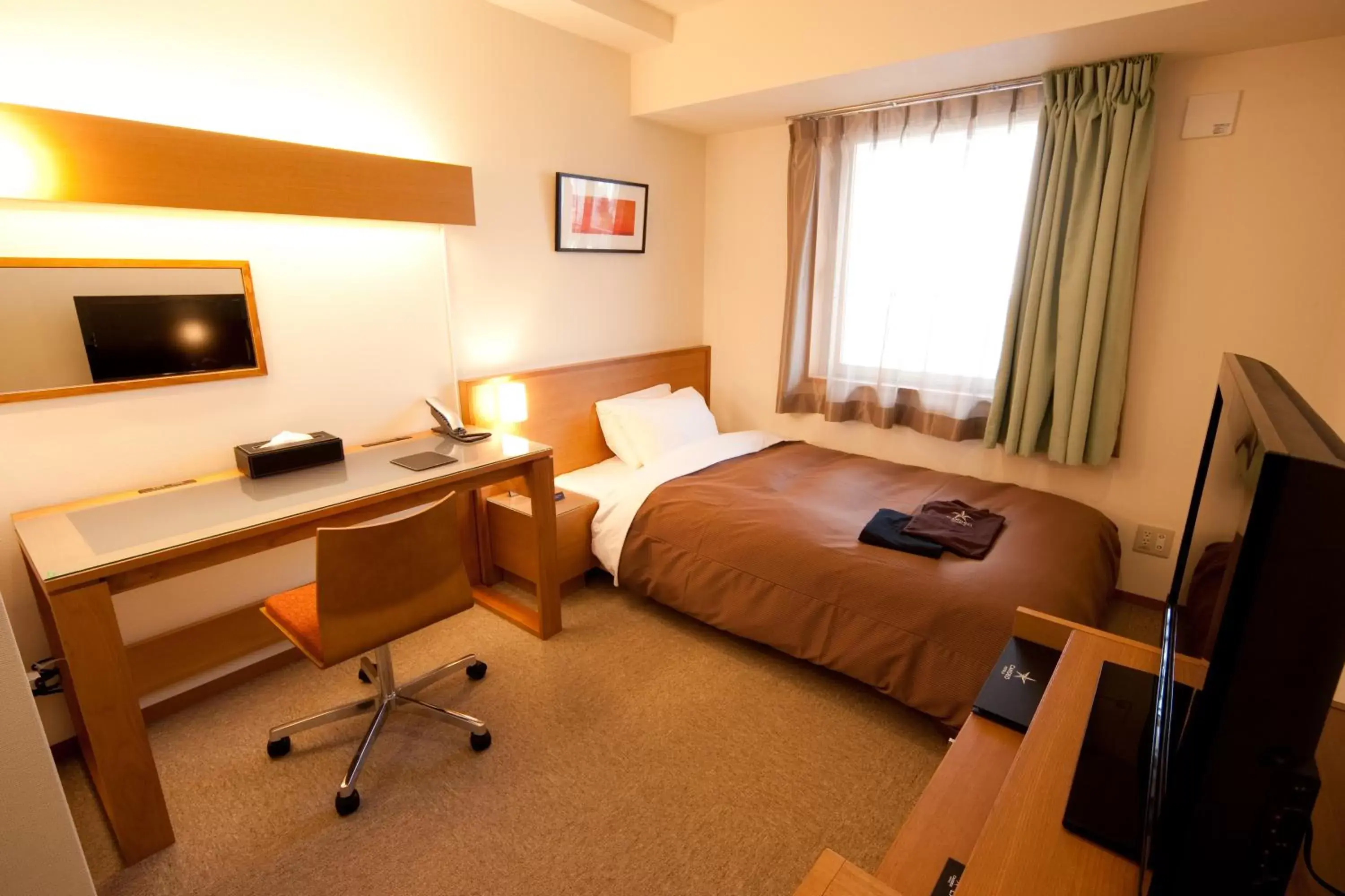 Photo of the whole room in Candeo Hotels Ueno Park