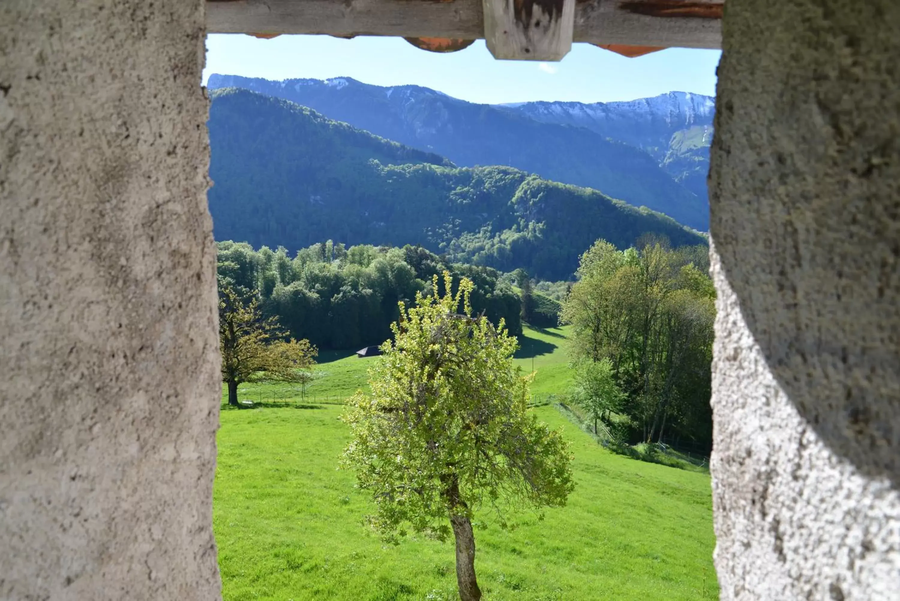 Mountain View in Le Saint Georges