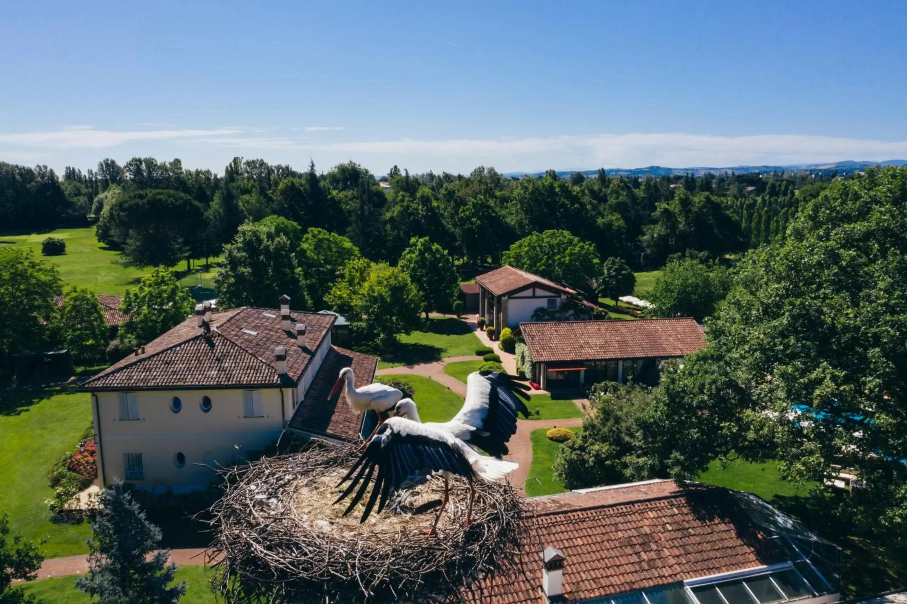 Natural landscape, Bird's-eye View in Villa Abbondanzi Resort
