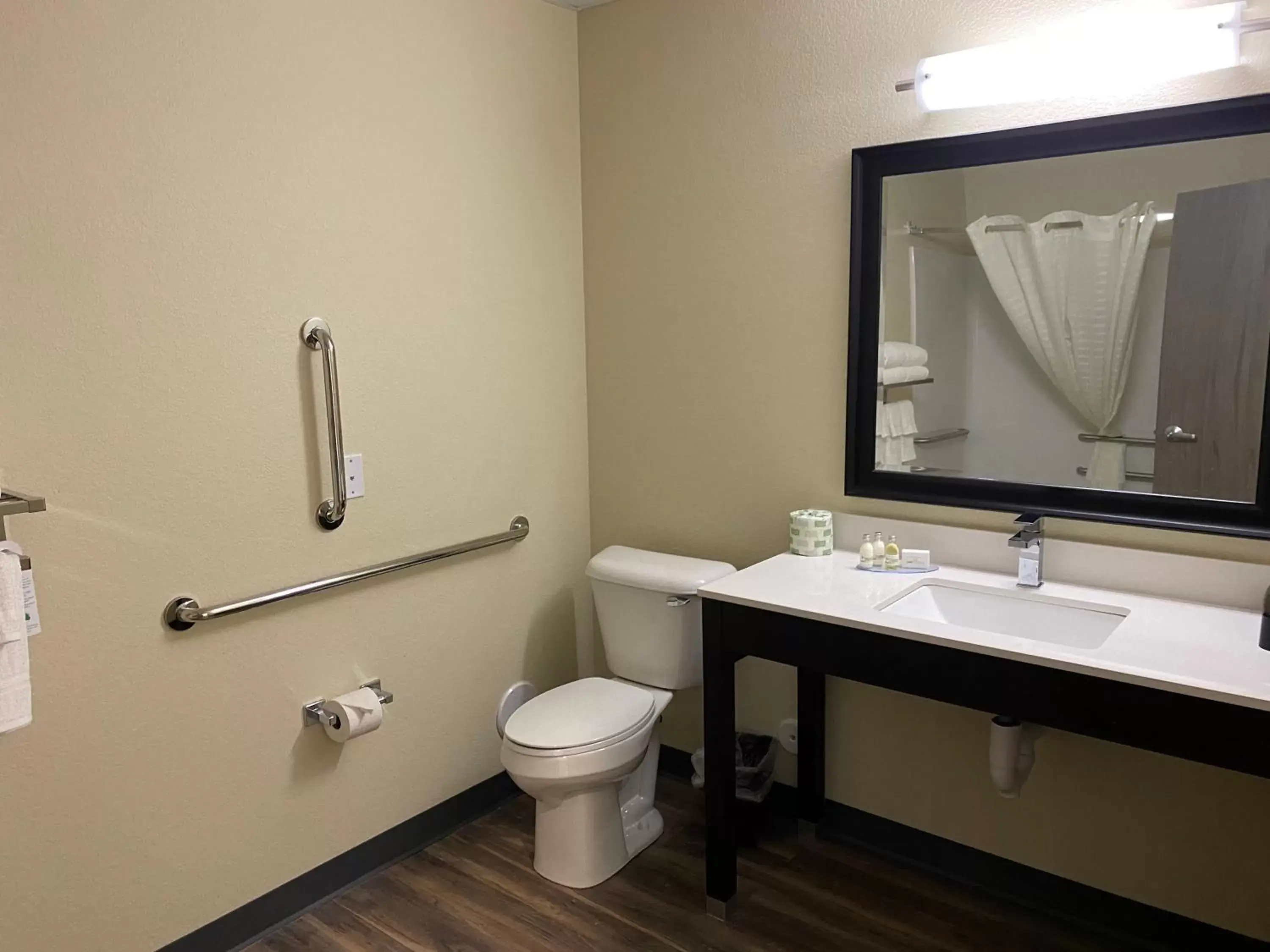 Bathroom in Cobblestone Inn & Suites - Forest City