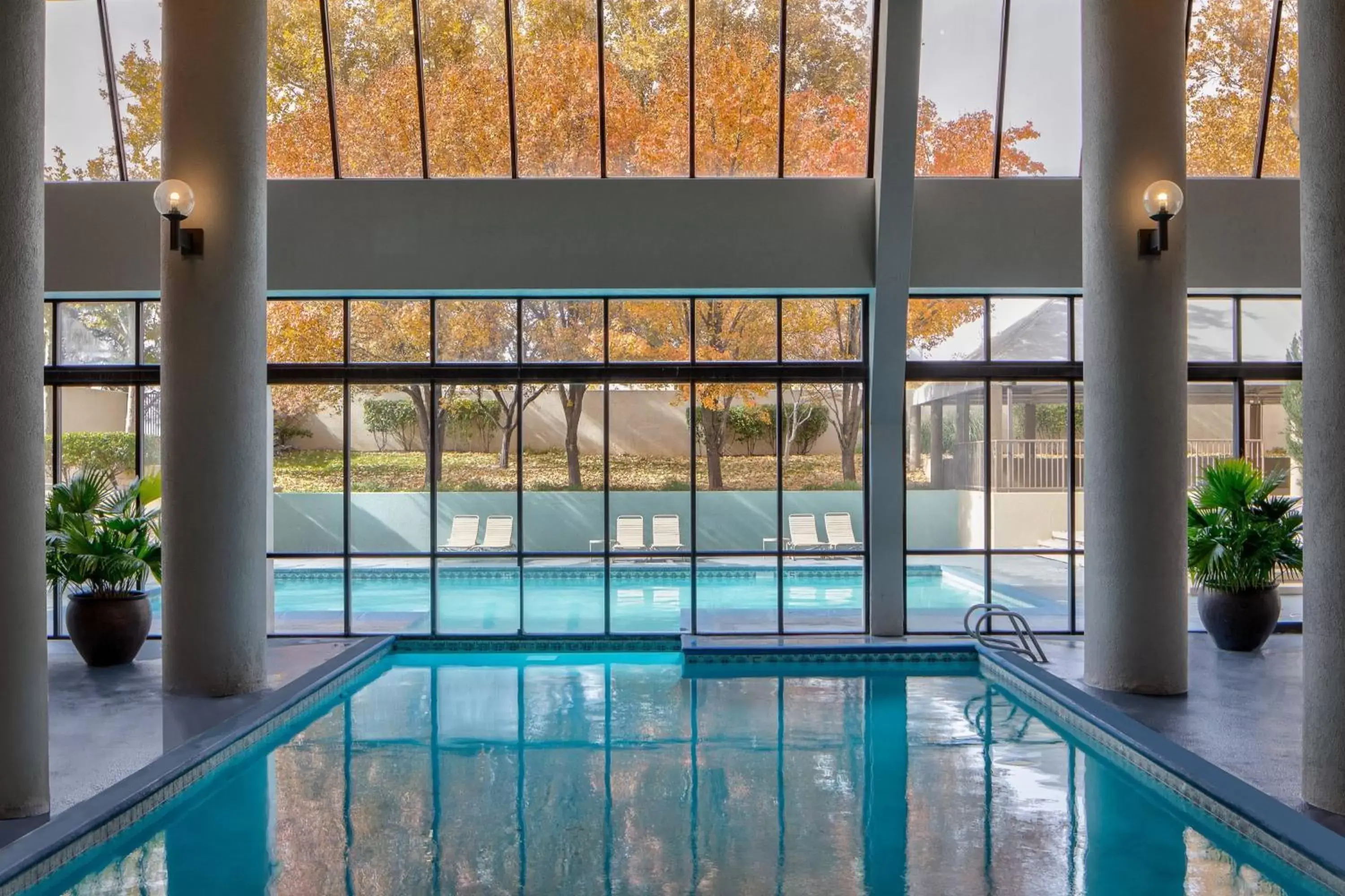 Swimming Pool in Marriott Albuquerque