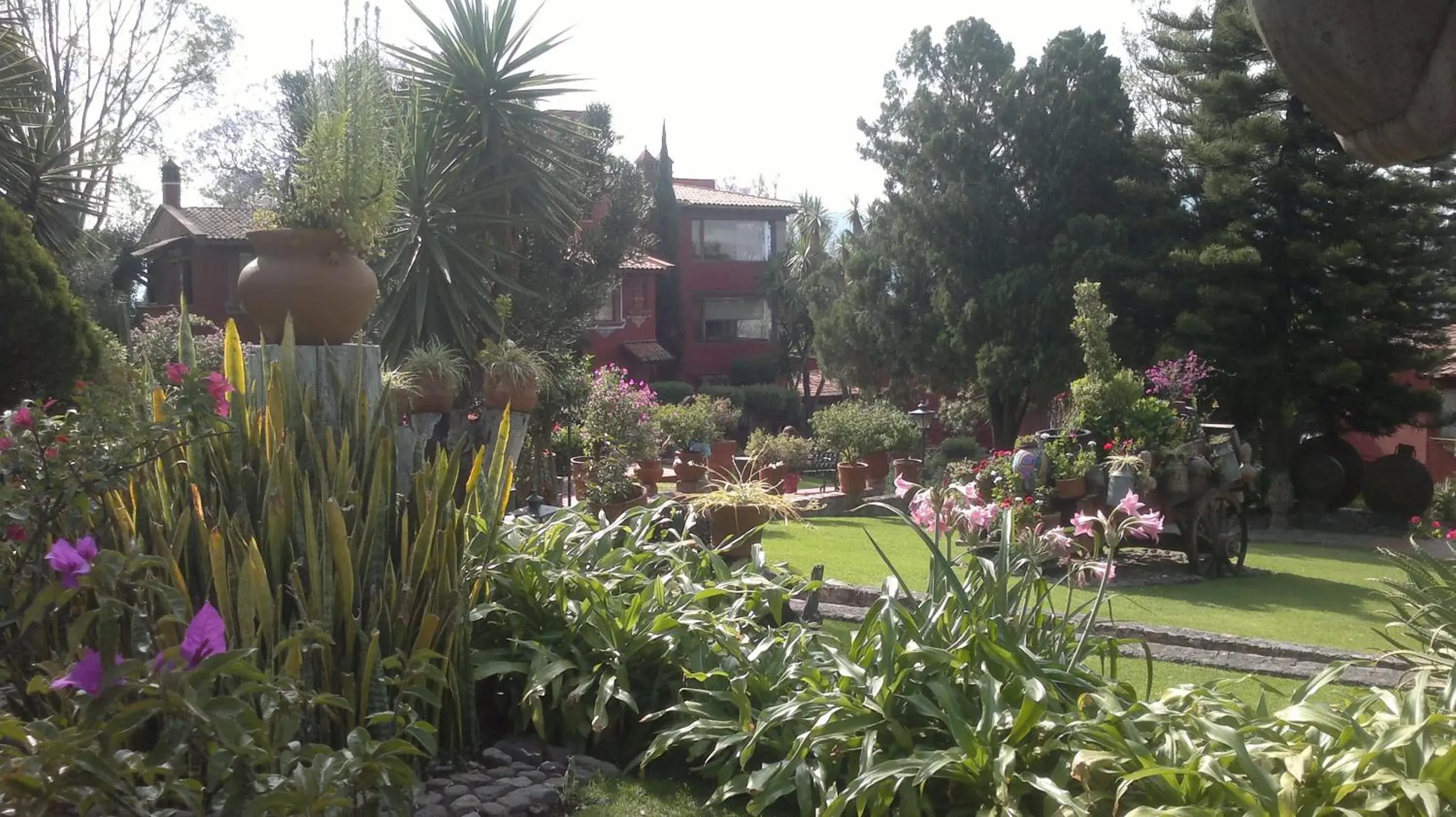 Garden view in Villa San Jose Hotel & Suites
