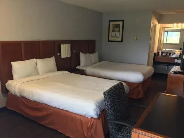 Bed in Extend-a-Suites Phoenix Bed in Extend-a-Suites Phoenix