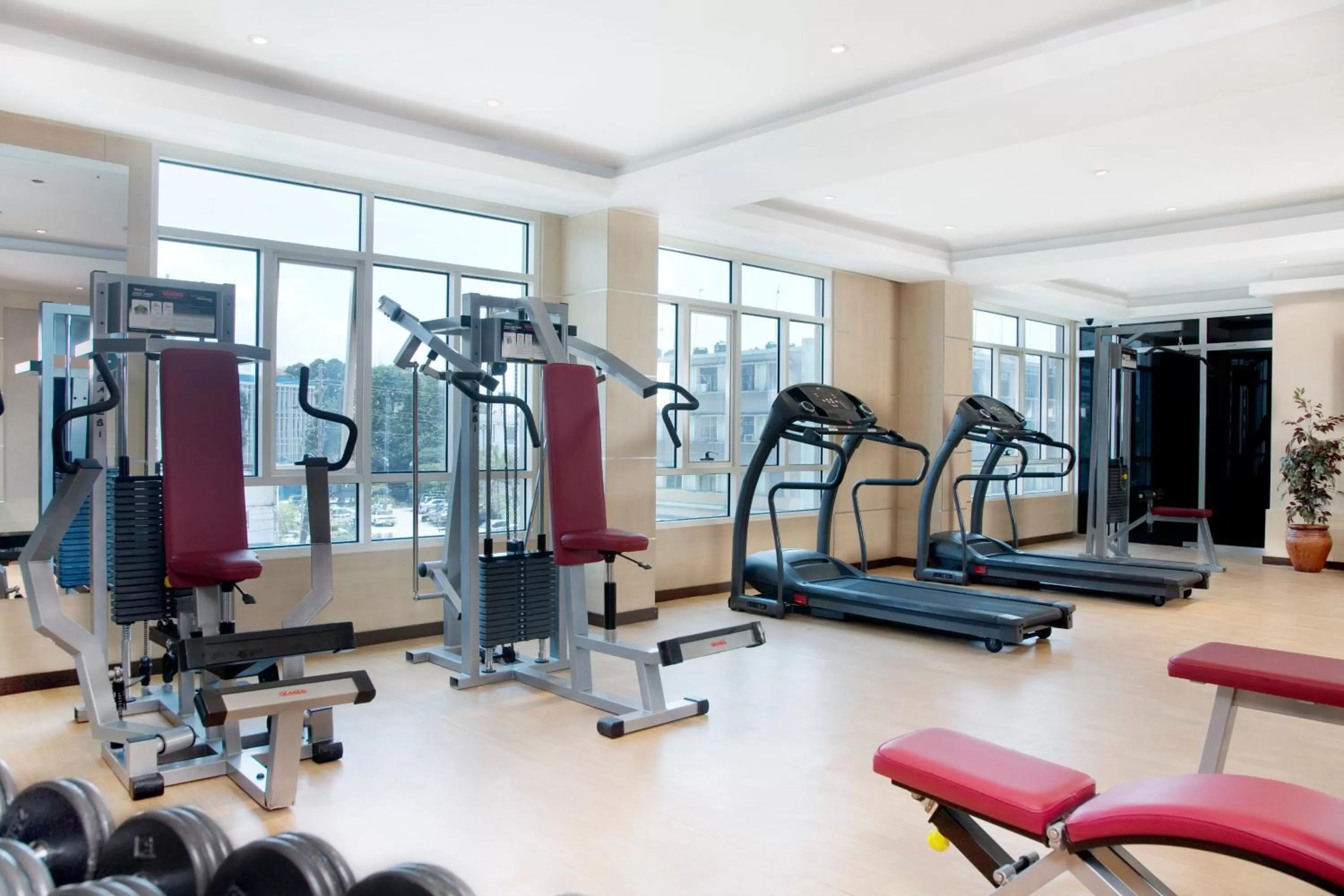 Fitness centre/facilities in Holiday Inn Dar Es Salaam by IHG