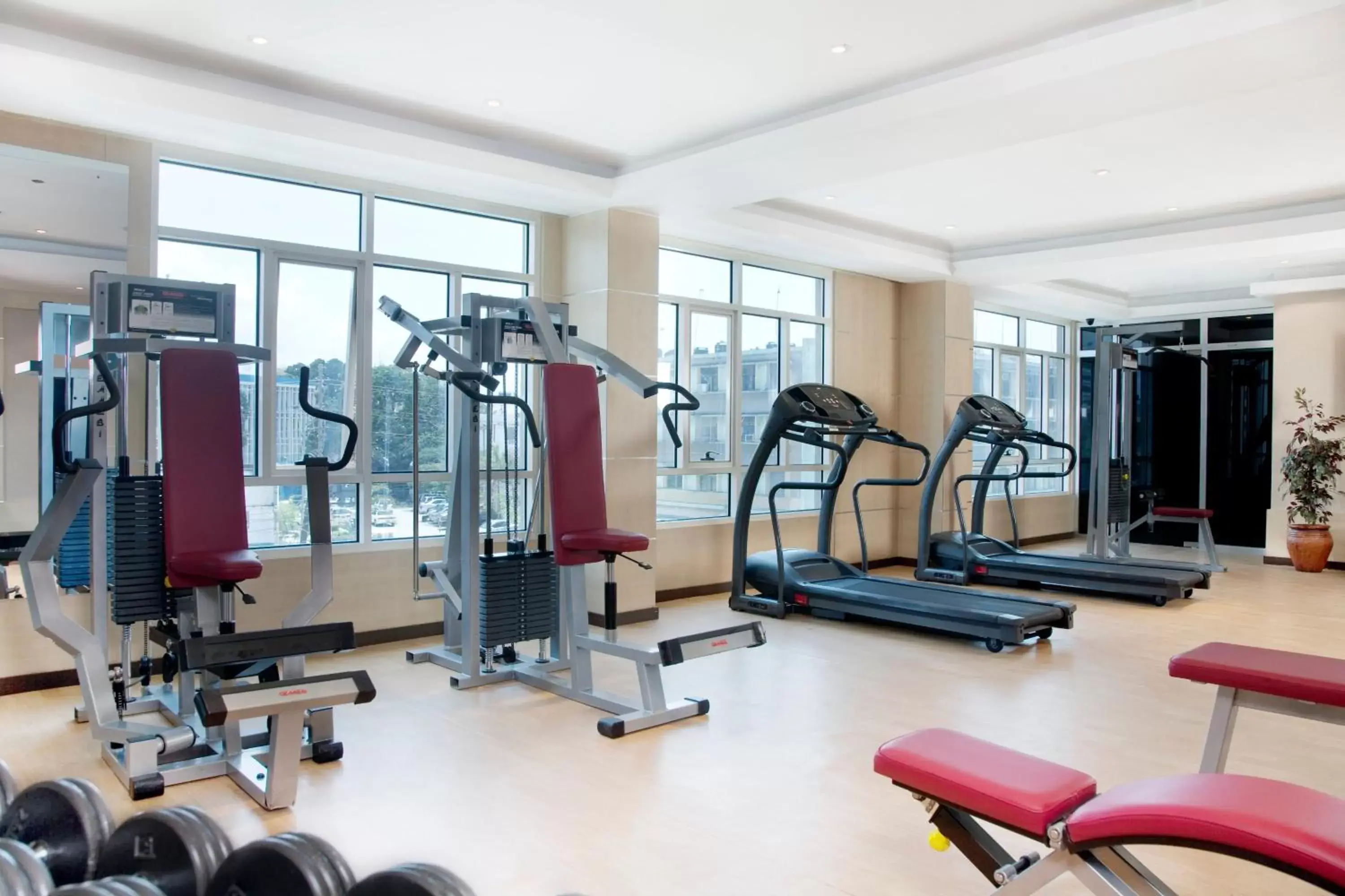 Fitness centre/facilities, Fitness Center/Facilities in Holiday Inn Dar Es Salaam, an IHG Hotel