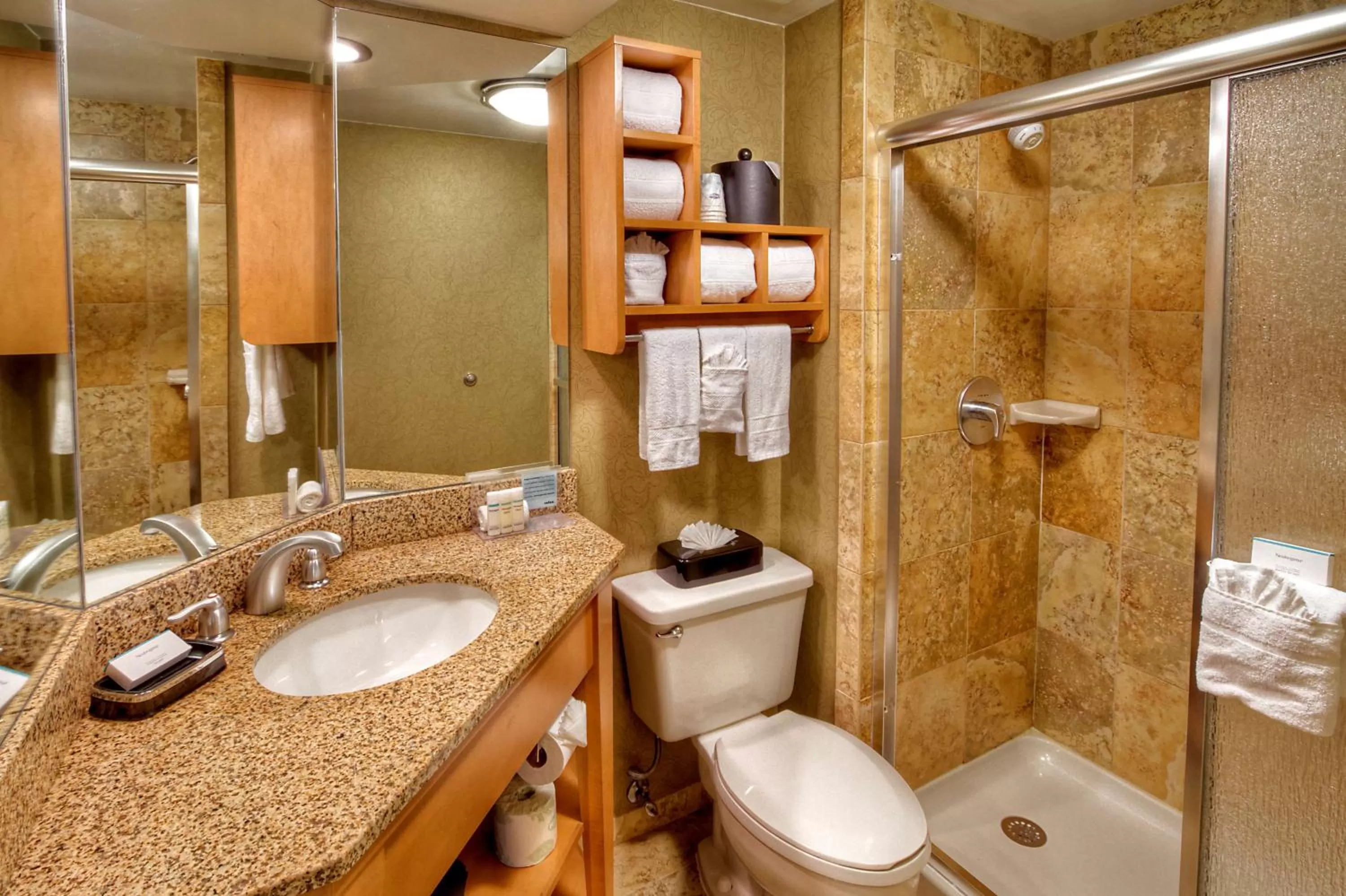 Bathroom in Hampton Inn Nashville/Brentwood-I-65S