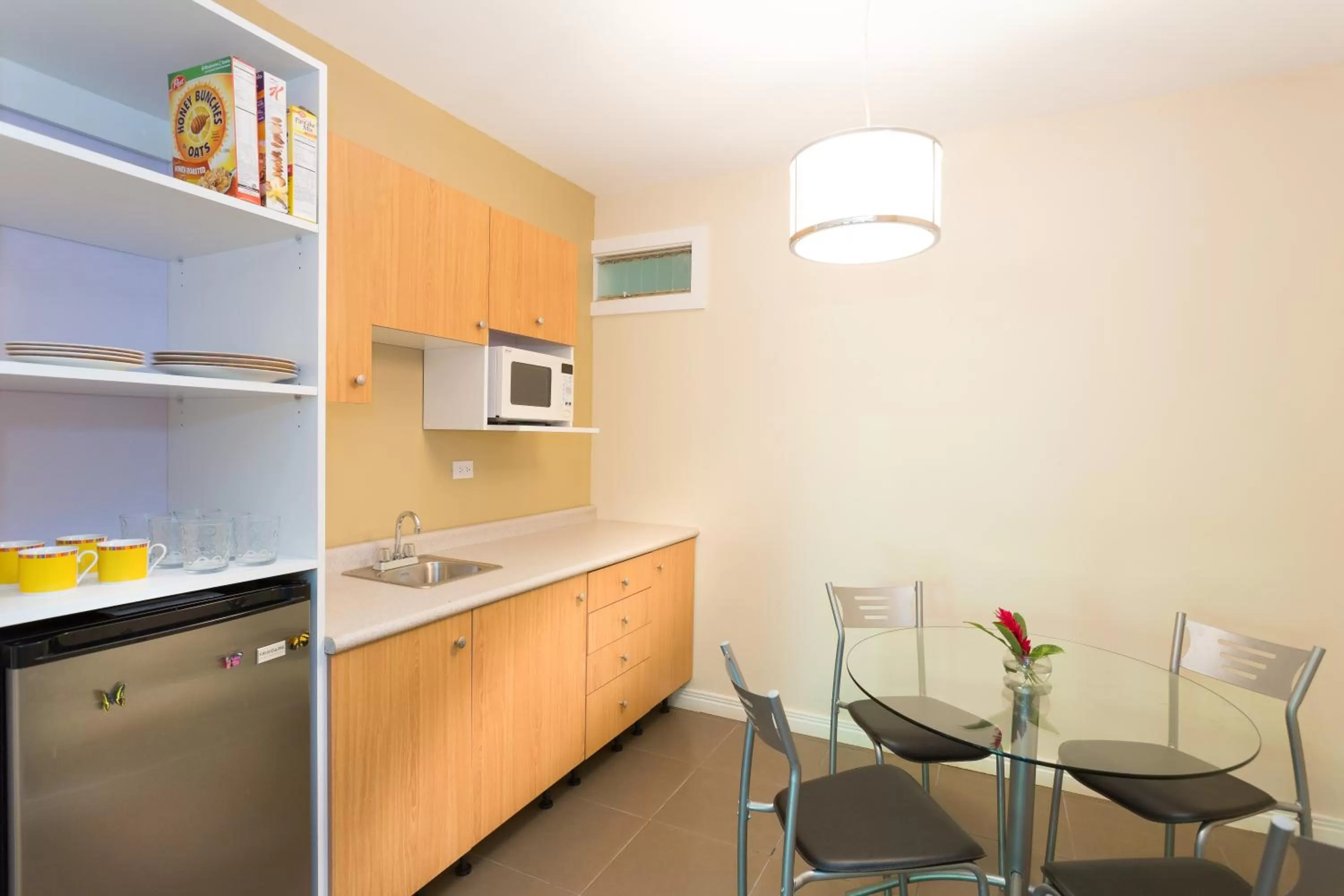 Food and drinks, Kitchen/Kitchenette in Airport Costa Rica B&B