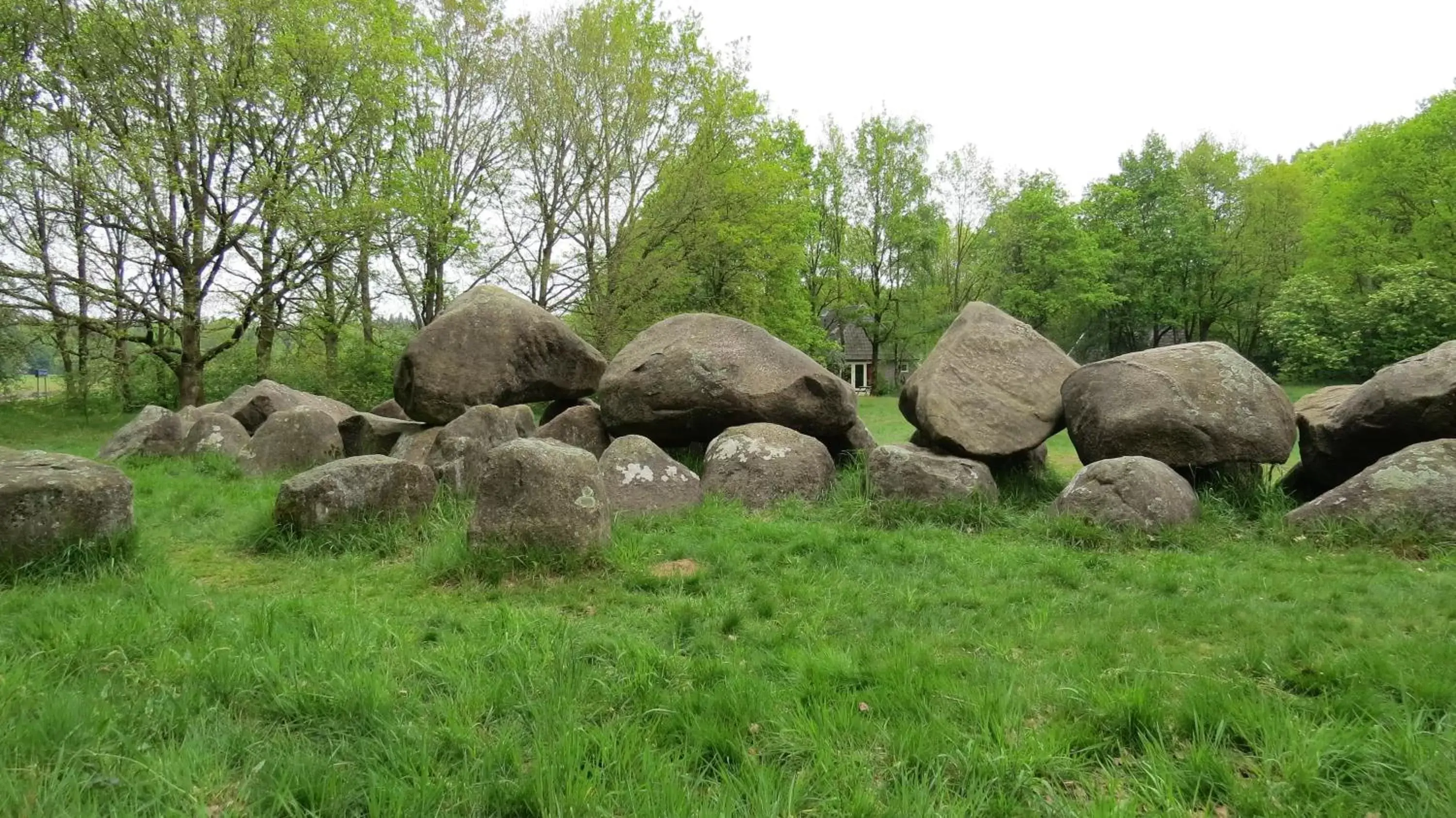 Natural landscape, Other Animals in 't Zwanemeer