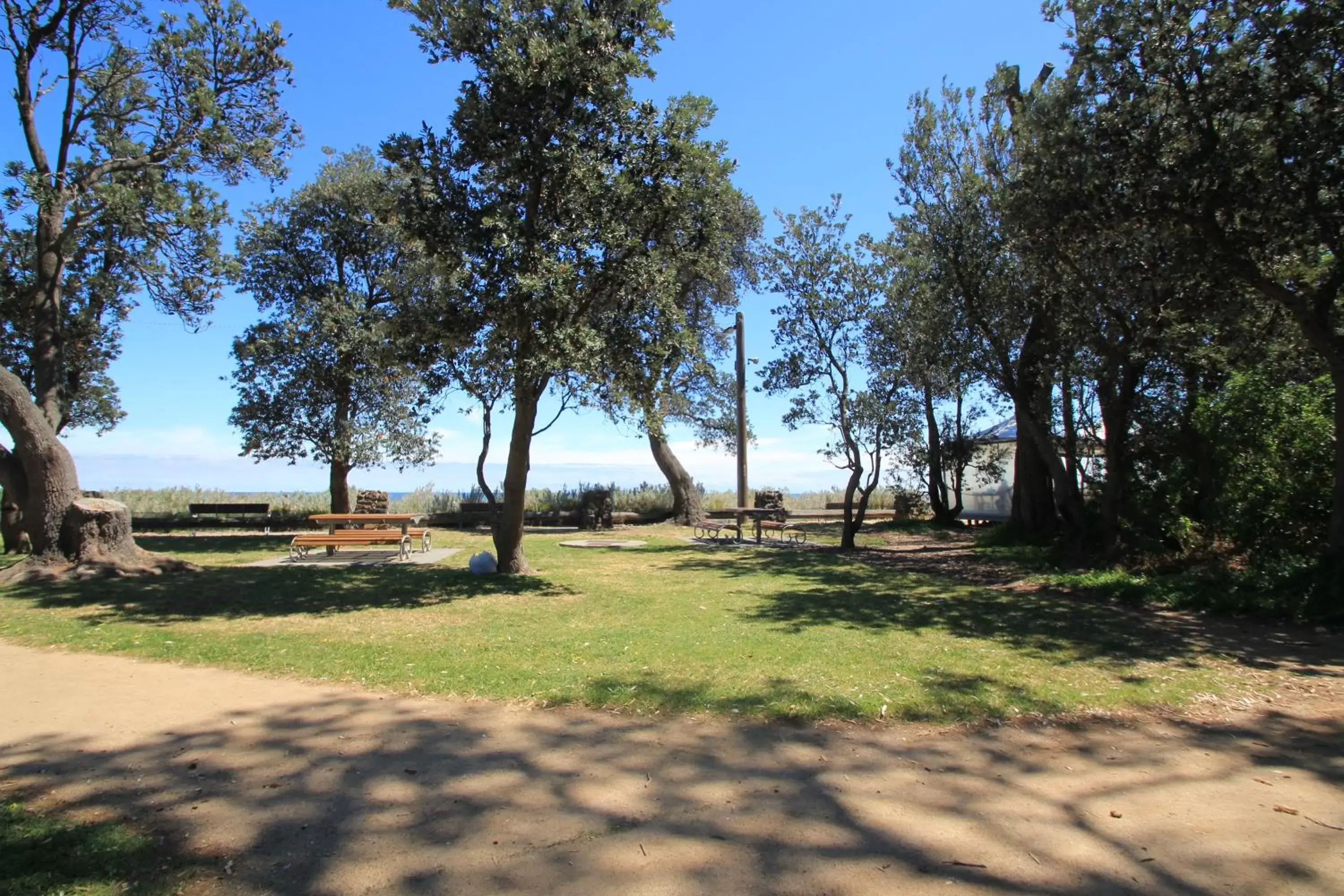 Natural landscape, Garden in Beaumaris Bay Motel