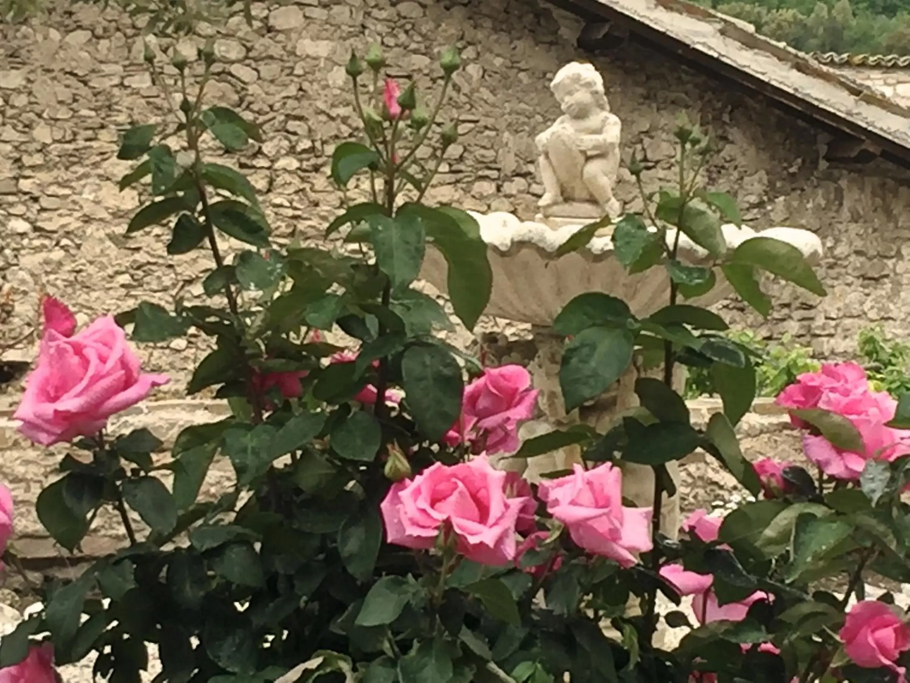 Garden in Palazzo Sant'Angelo