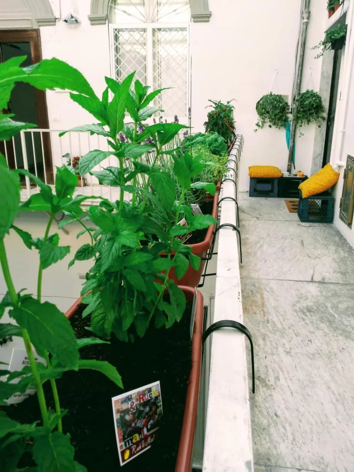 B&B Napoli Ruck&Maul