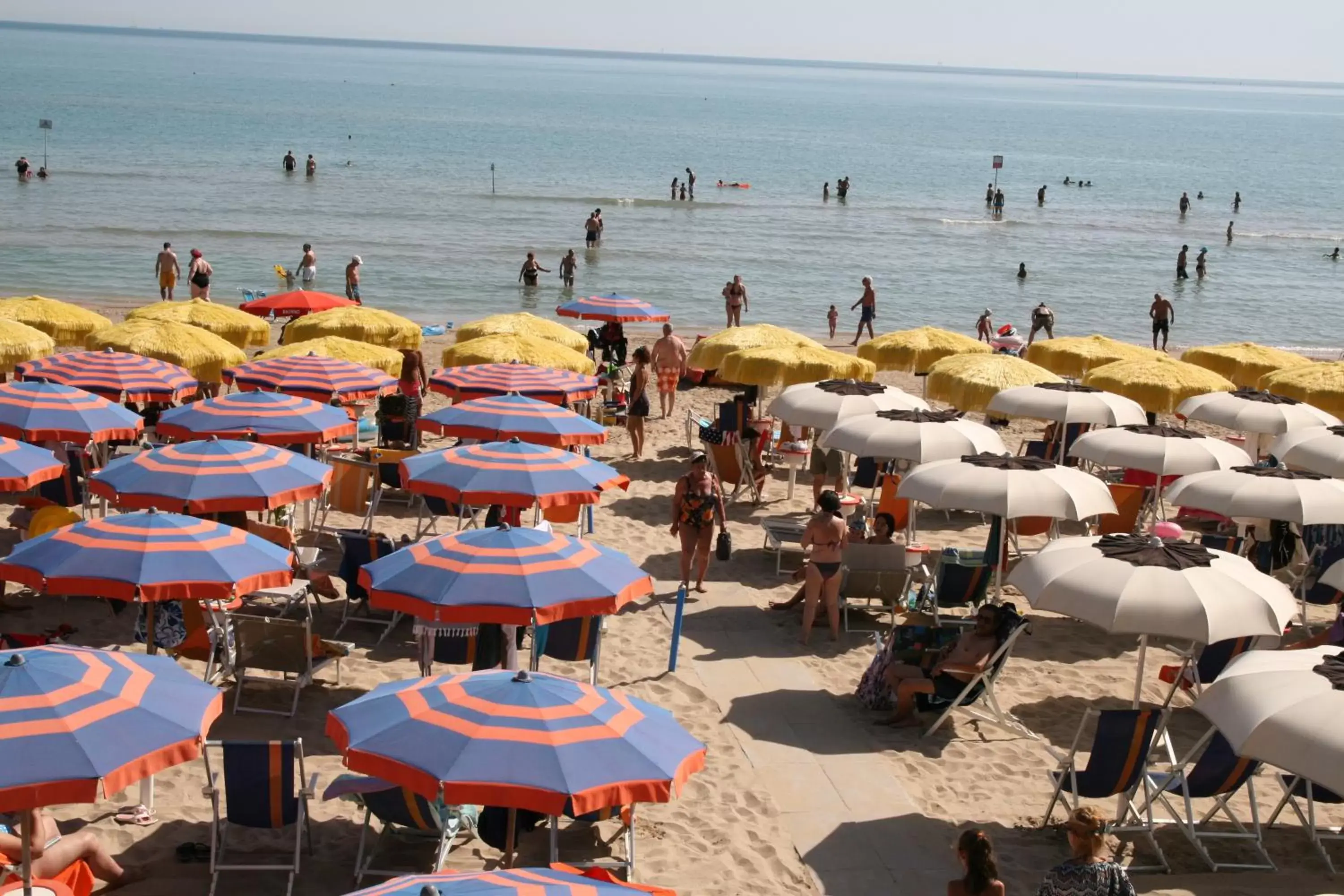 Day, Beach in Hotel Felicioni