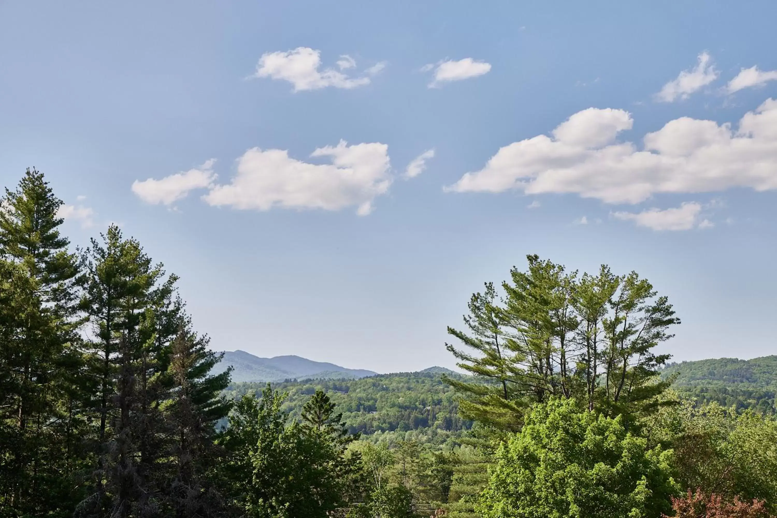 Natural landscape in Bluebird Cady Hill Lodge