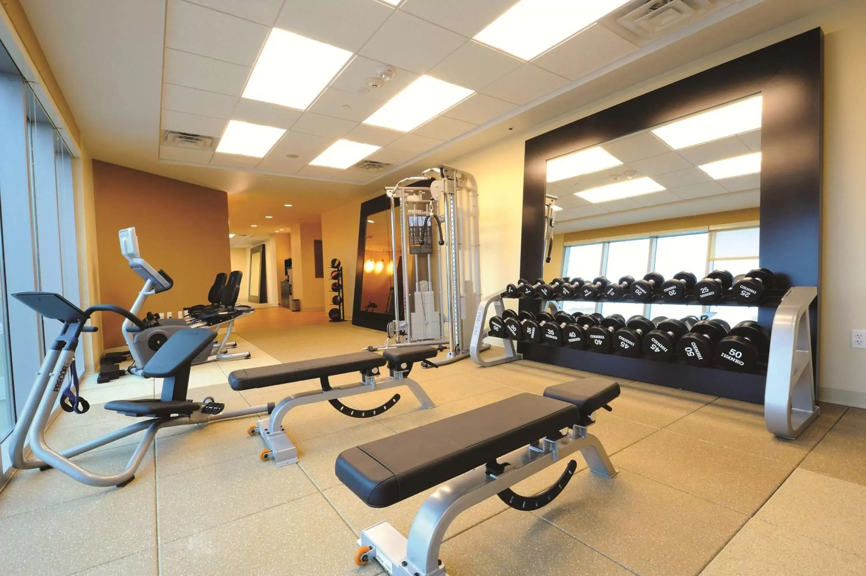 Fitness centre/facilities, Fitness Center/Facilities in Embassy Suites Houston - Downtown