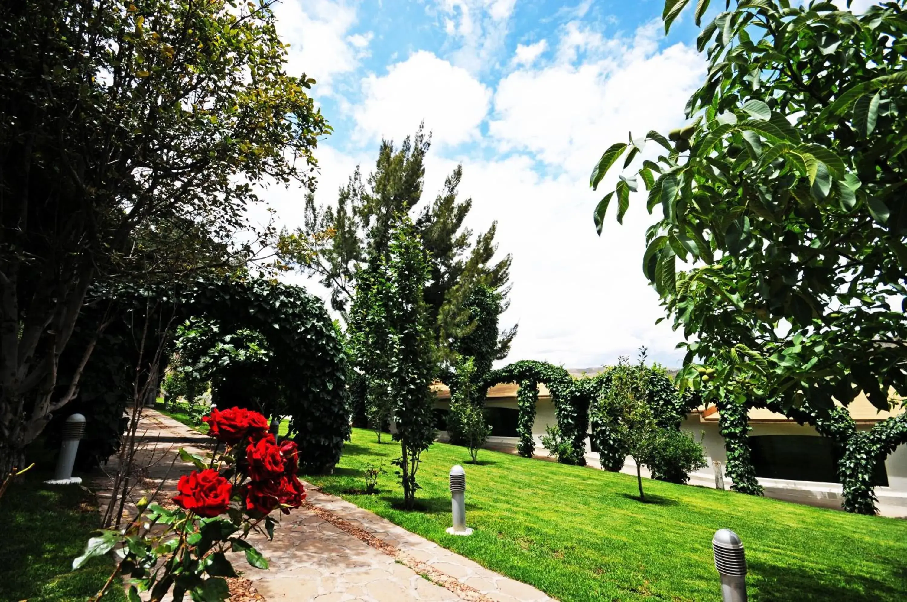 Garden in Hotel Baruk Teleferico y Mina