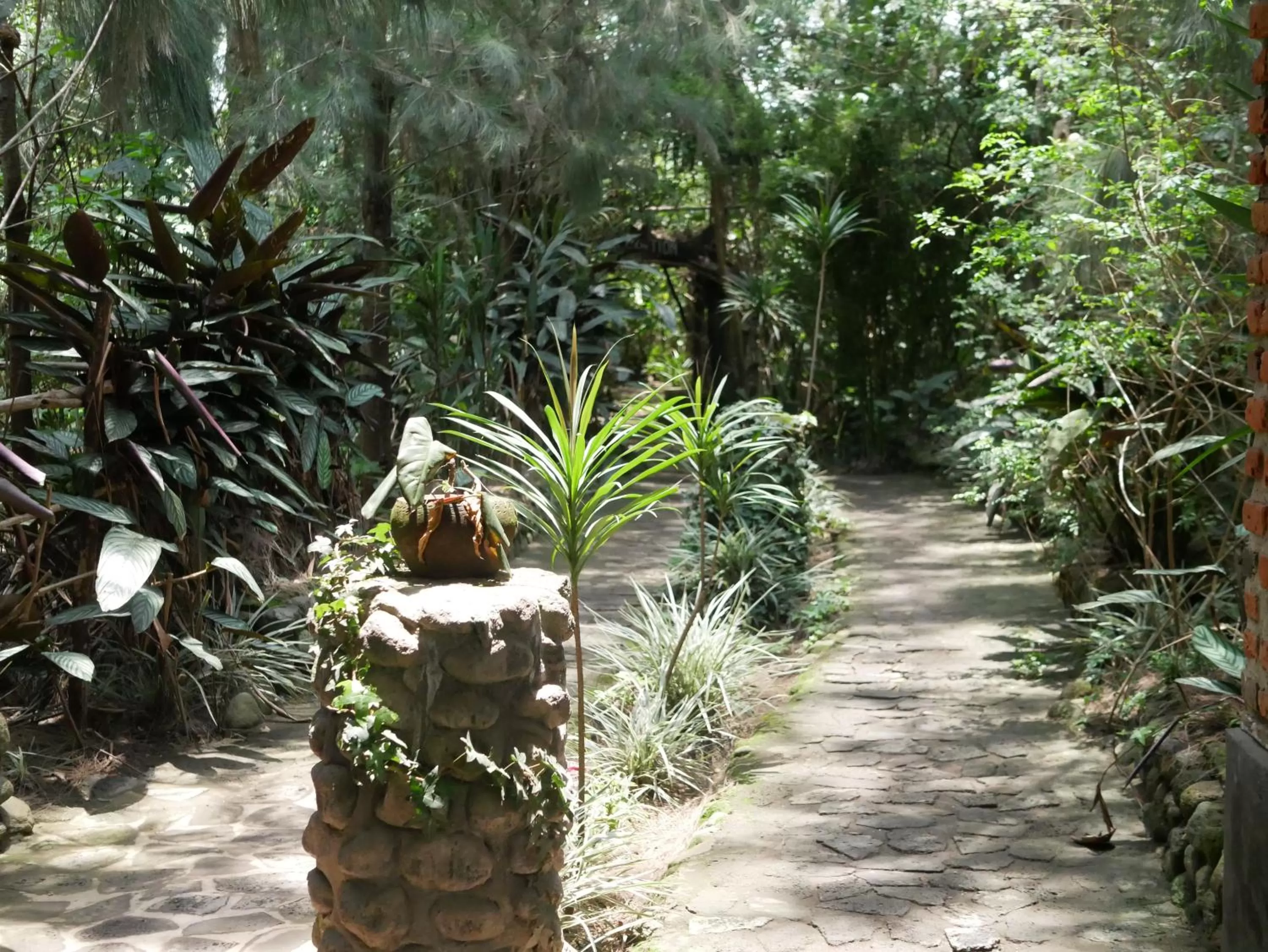 Natural landscape in Fravan Eco Resort By Apogee