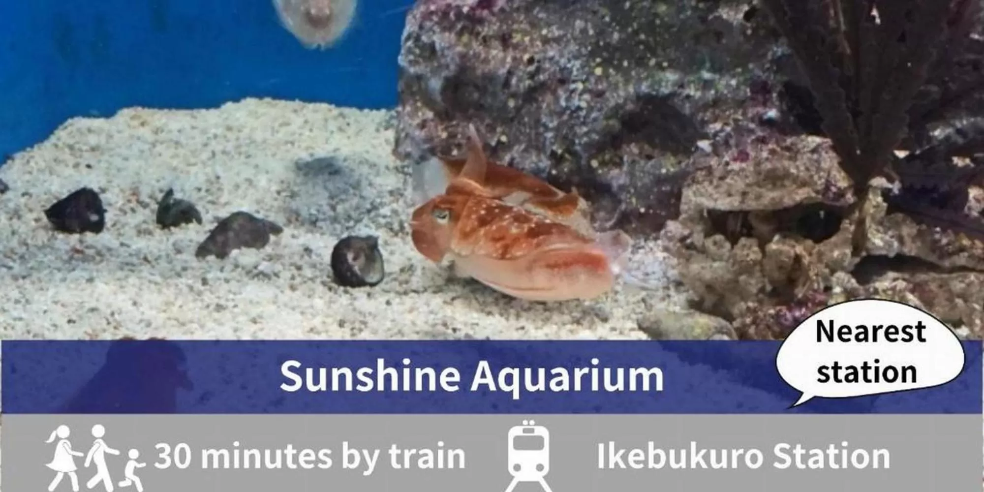 Nearby landmark in Asakusa Hotel Hatago