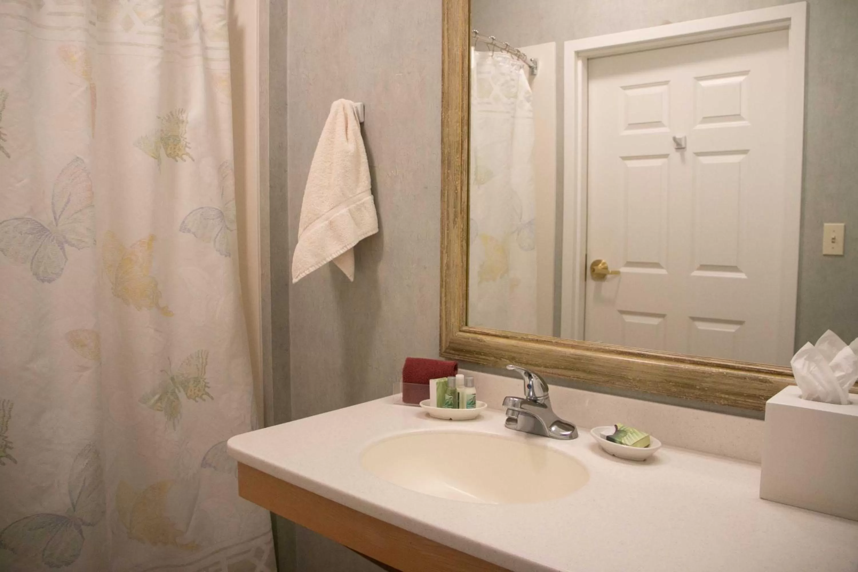 Bathroom in Essenhaus Inn & Conf. Center
