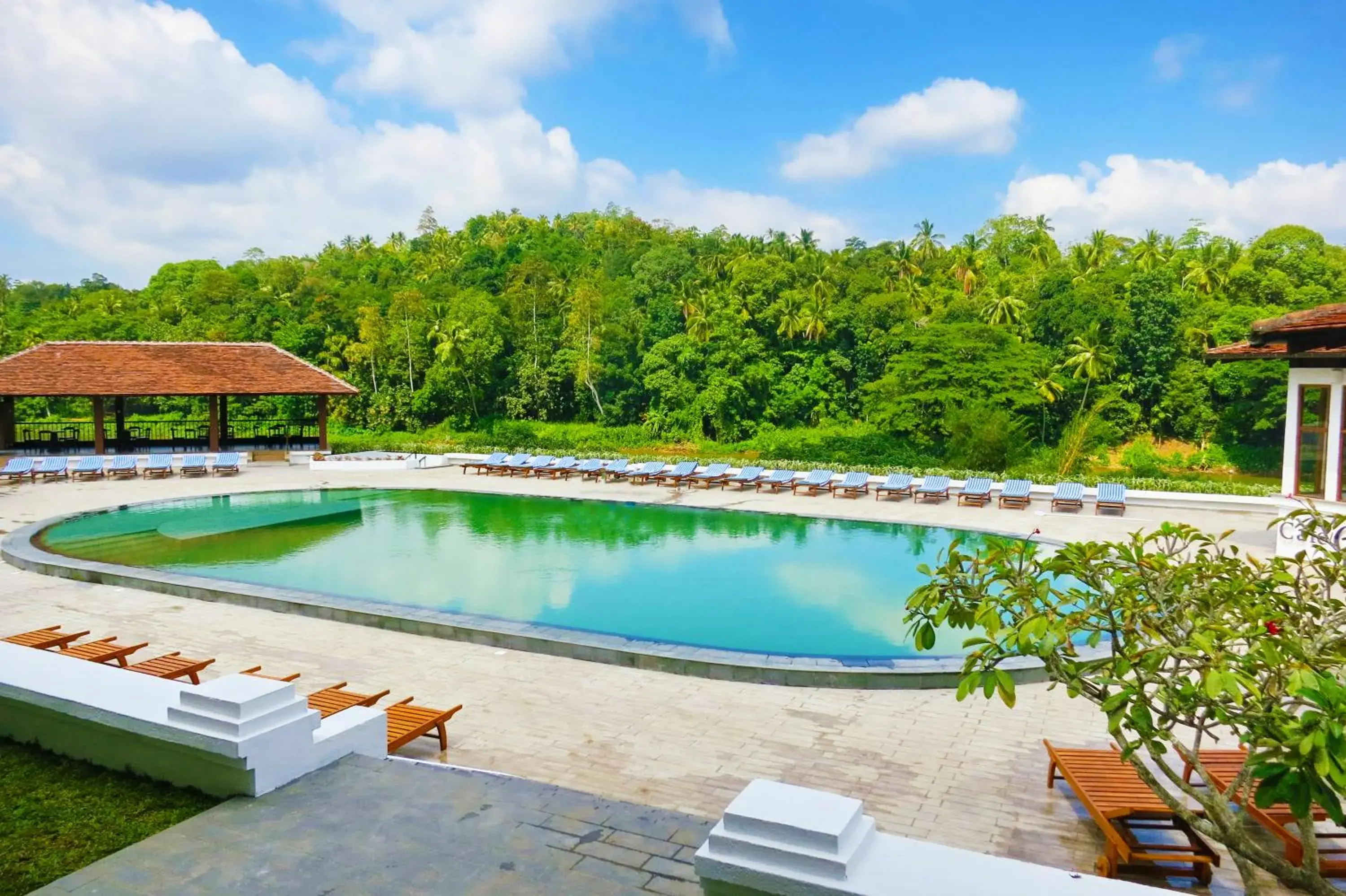 Swimming Pool in Cinnamon Citadel Kandy