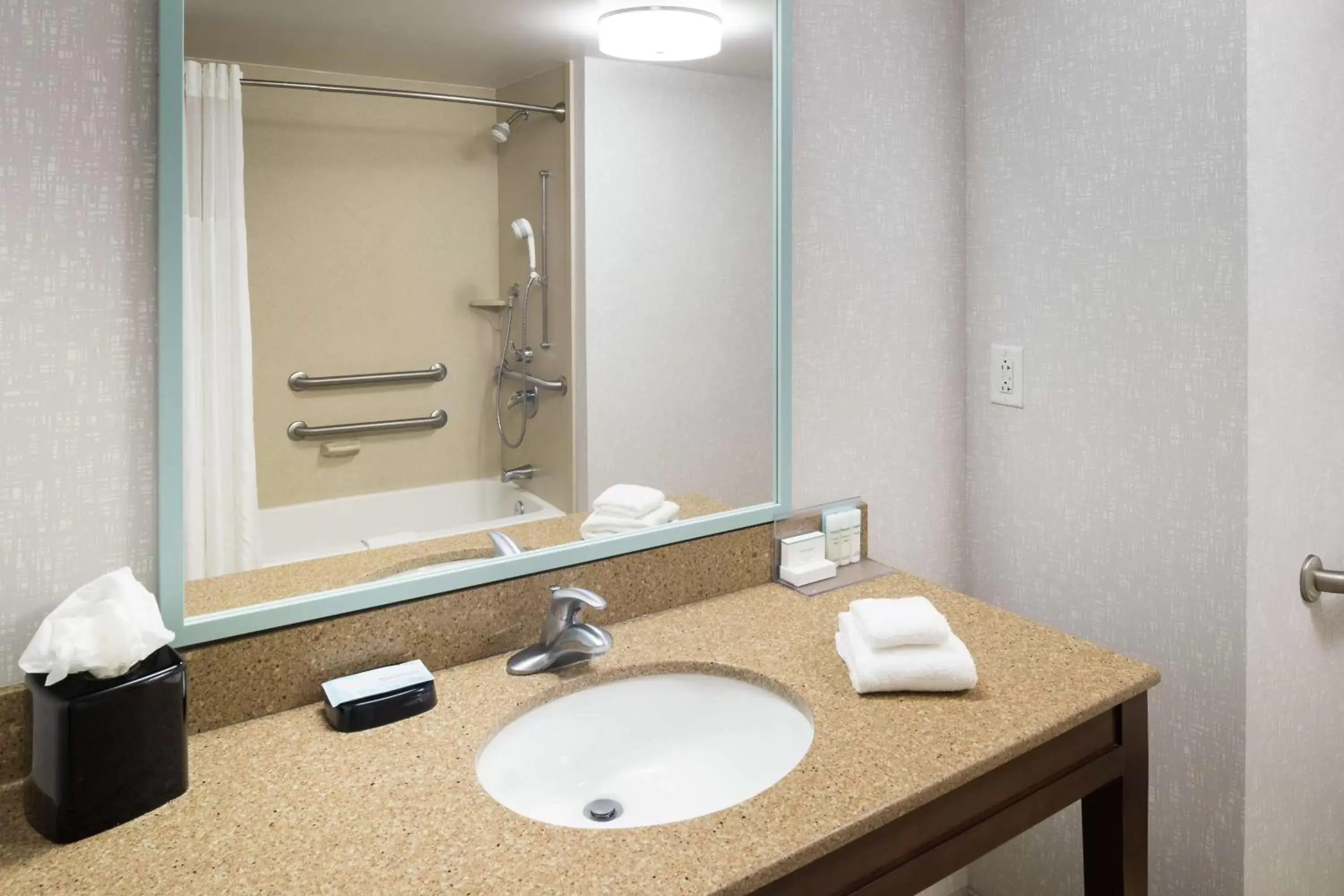 Bathroom in Hampton Inn New Smyrna Beach