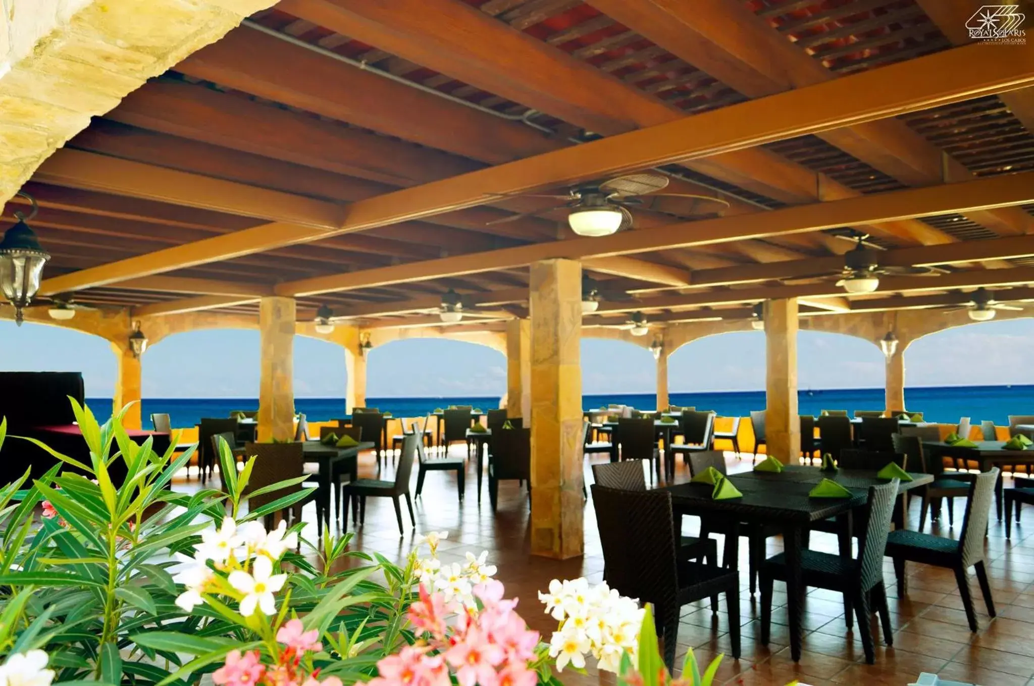Lunch, Restaurant/Places to Eat in Royal Solaris Los Cabos-All Inclusive