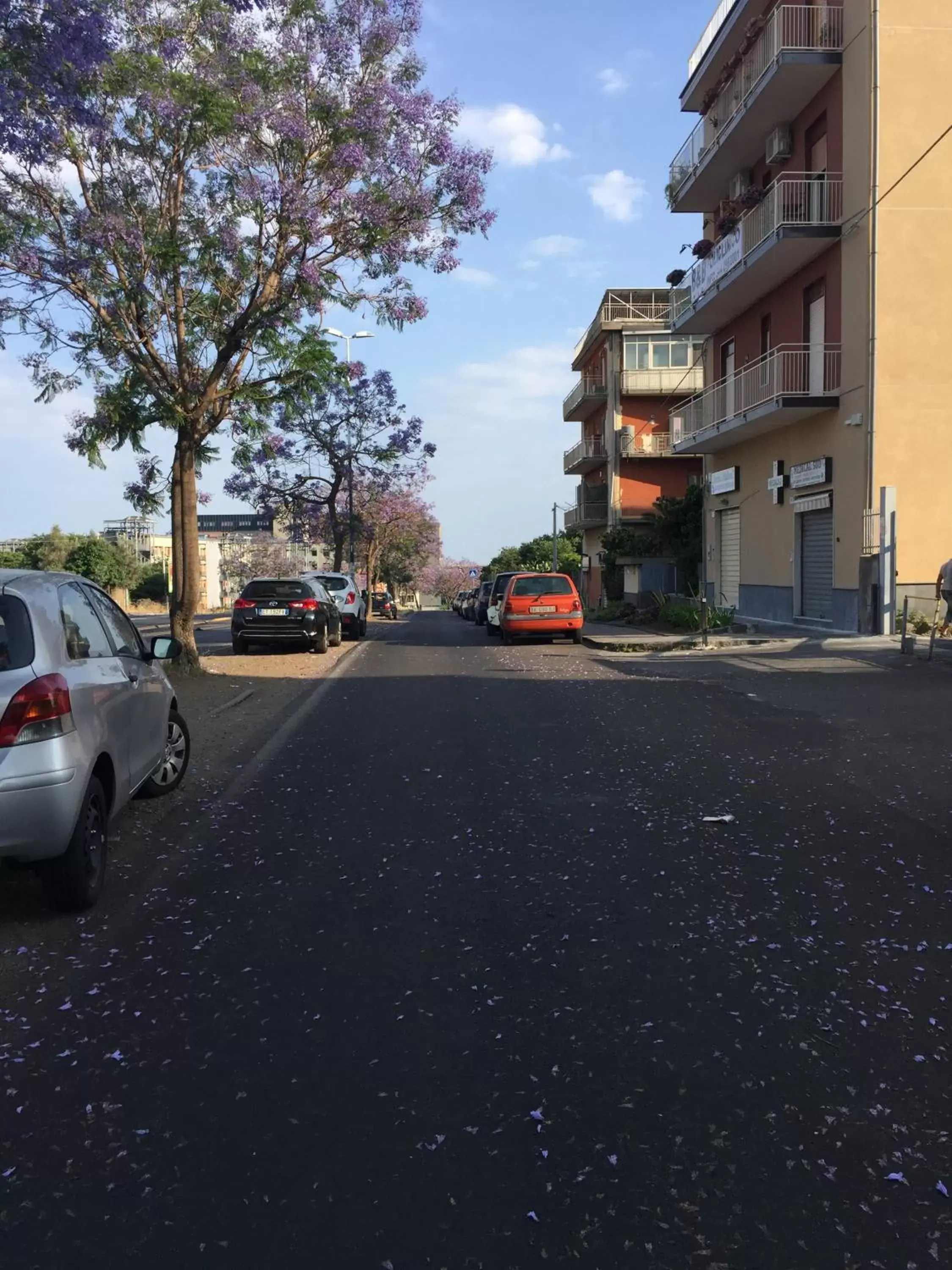 Street view in B&B Policlinico Gaspare Rodolico