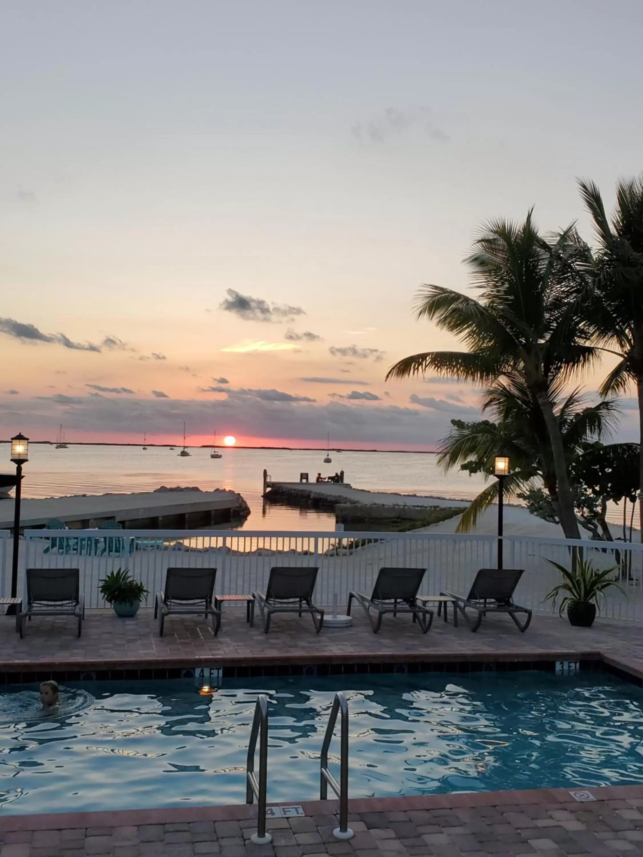 Natural landscape in Bayside Inn Key Largo