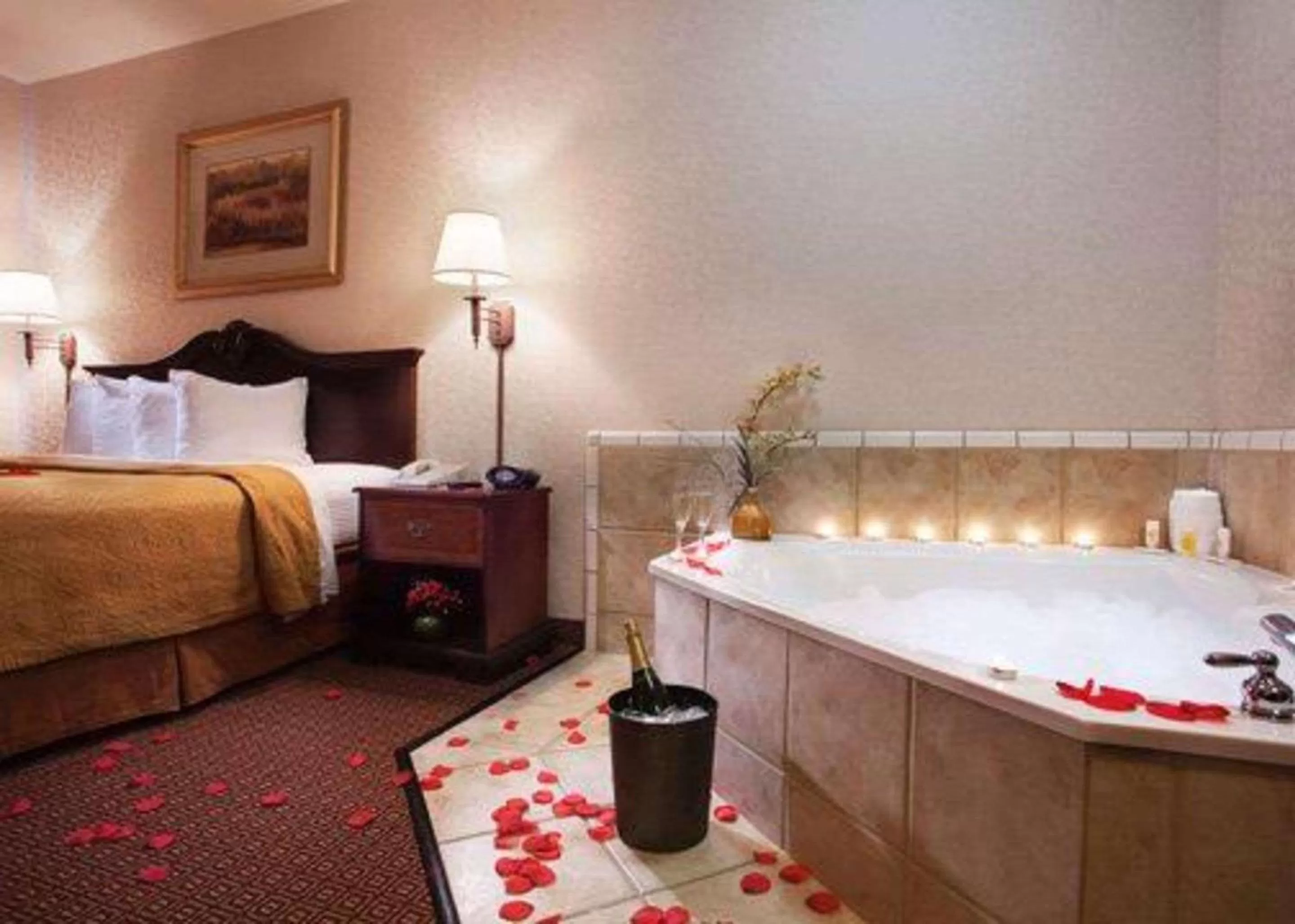 Photo of the whole room, Bed in Quality Inn & Suites Near University