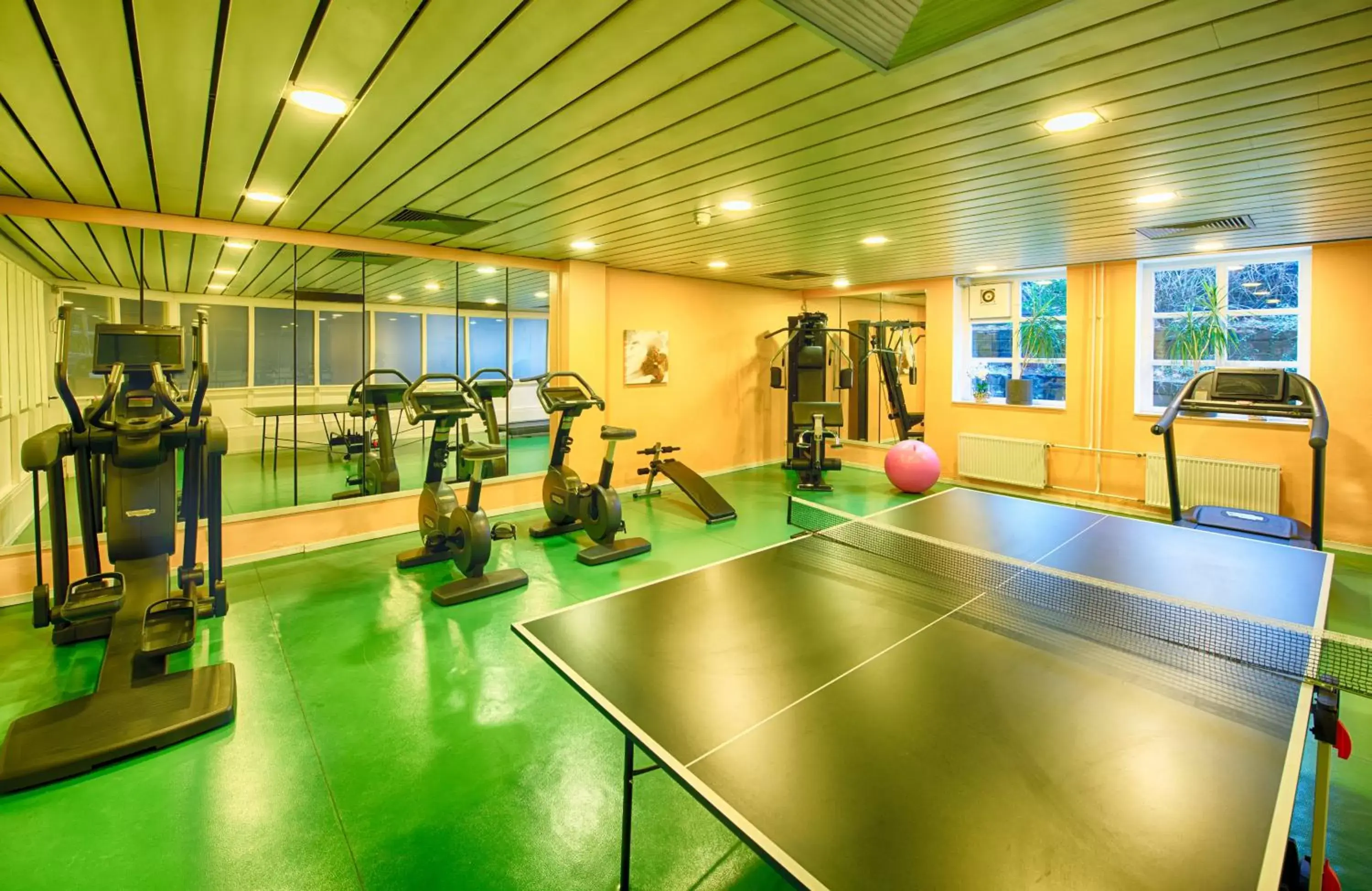 Fitness centre/facilities, Fitness Center/Facilities in Leonardo Hotel Hamburg Stillhorn