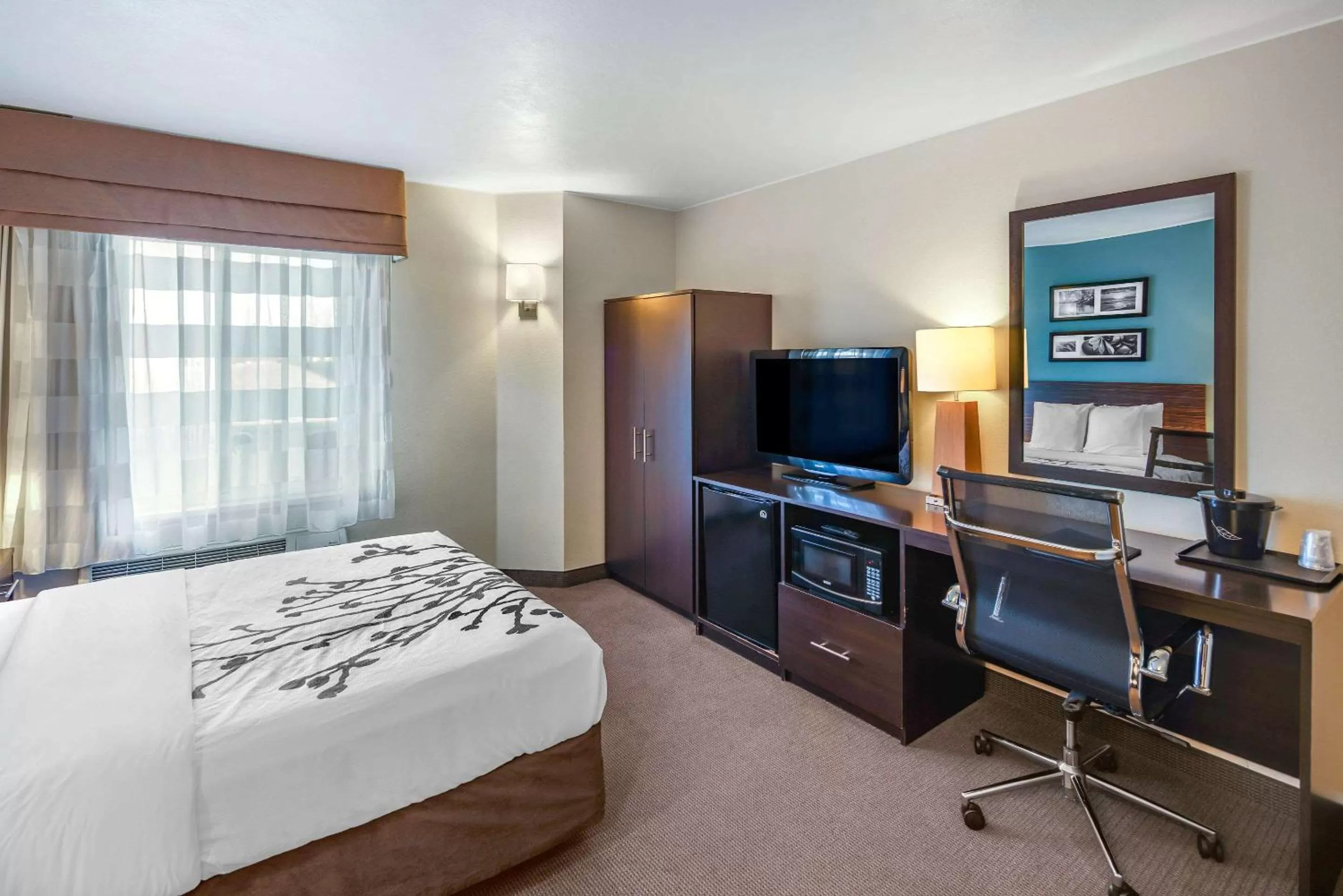 Photo of the whole room, Bed in Sleep Inn near Washington State Line