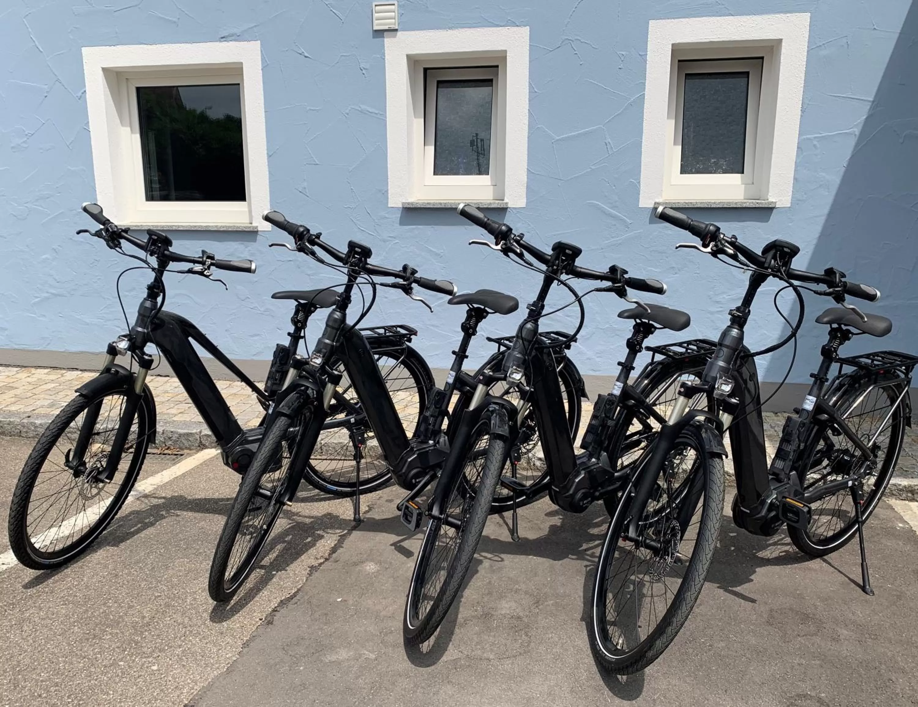 Activities in ApartHotel Rose